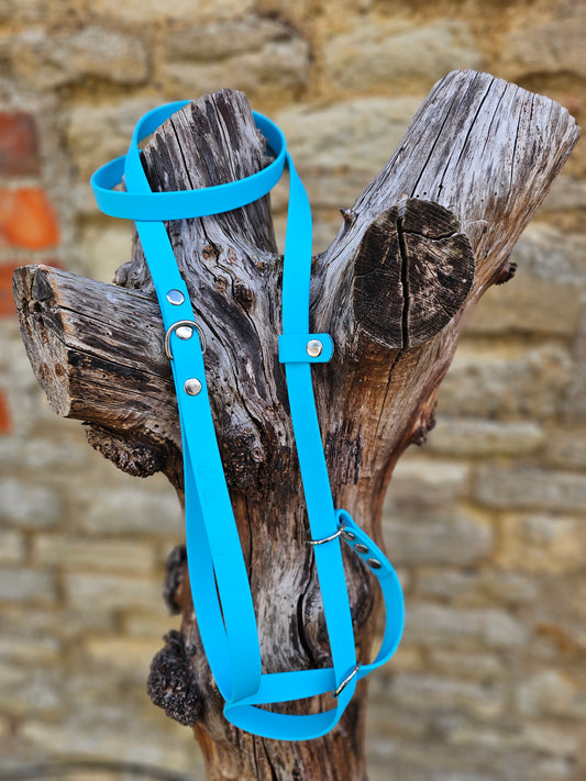 Neon Blue - Waterproof BioThane© Figure8 Dog Lead