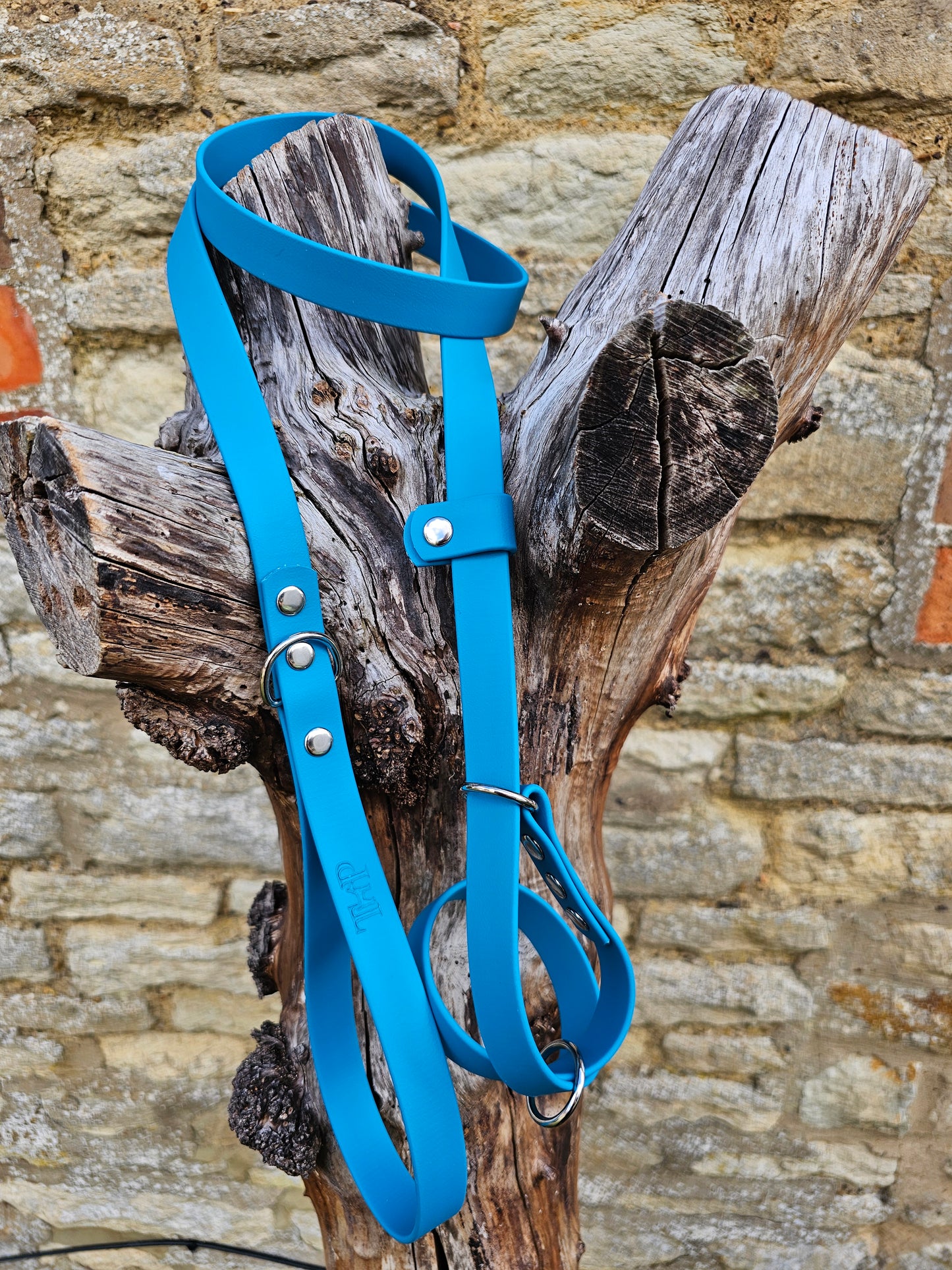 Blue - Waterproof BioThane© Figure8 Dog Lead