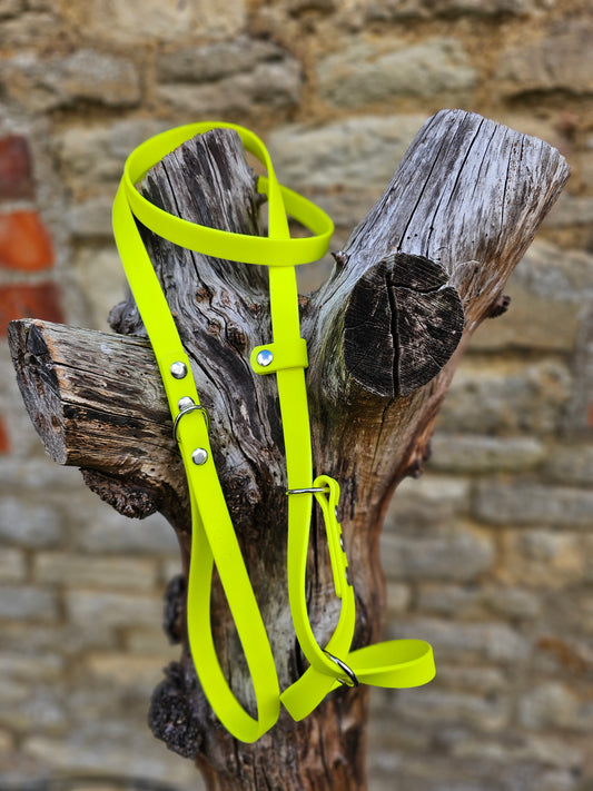Neon Yellow - Waterproof BioThane© Figure8 Dog Lead