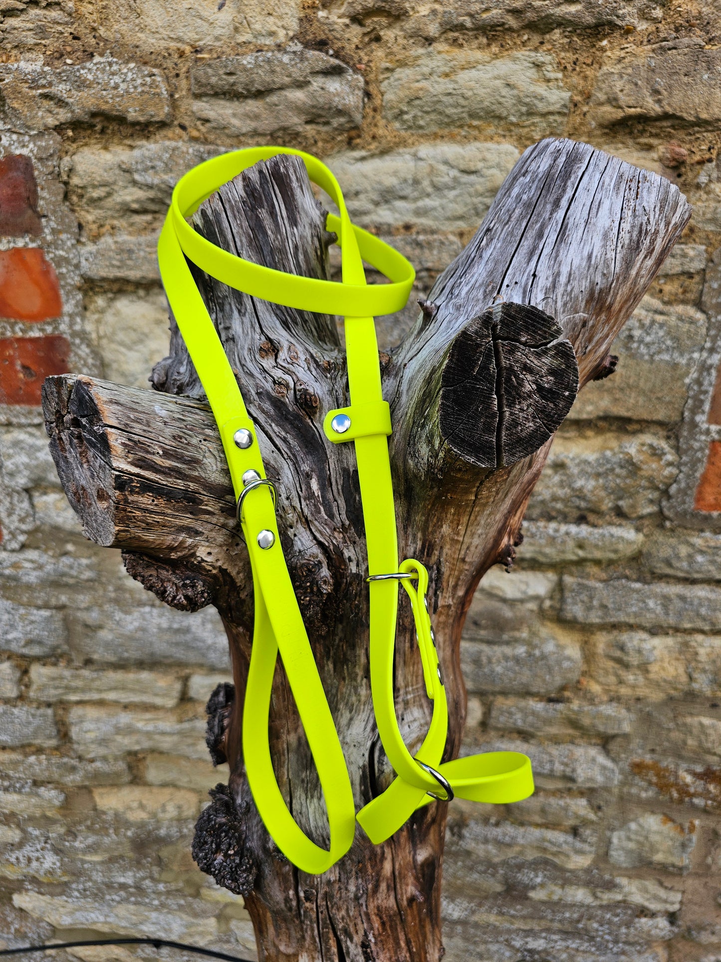 Neon Yellow - Waterproof BioThane© Figure8 Dog Lead