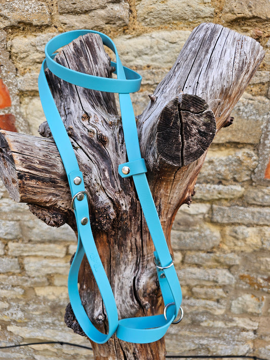 Duckegg - Waterproof BioThane© Figure8 Dog Lead