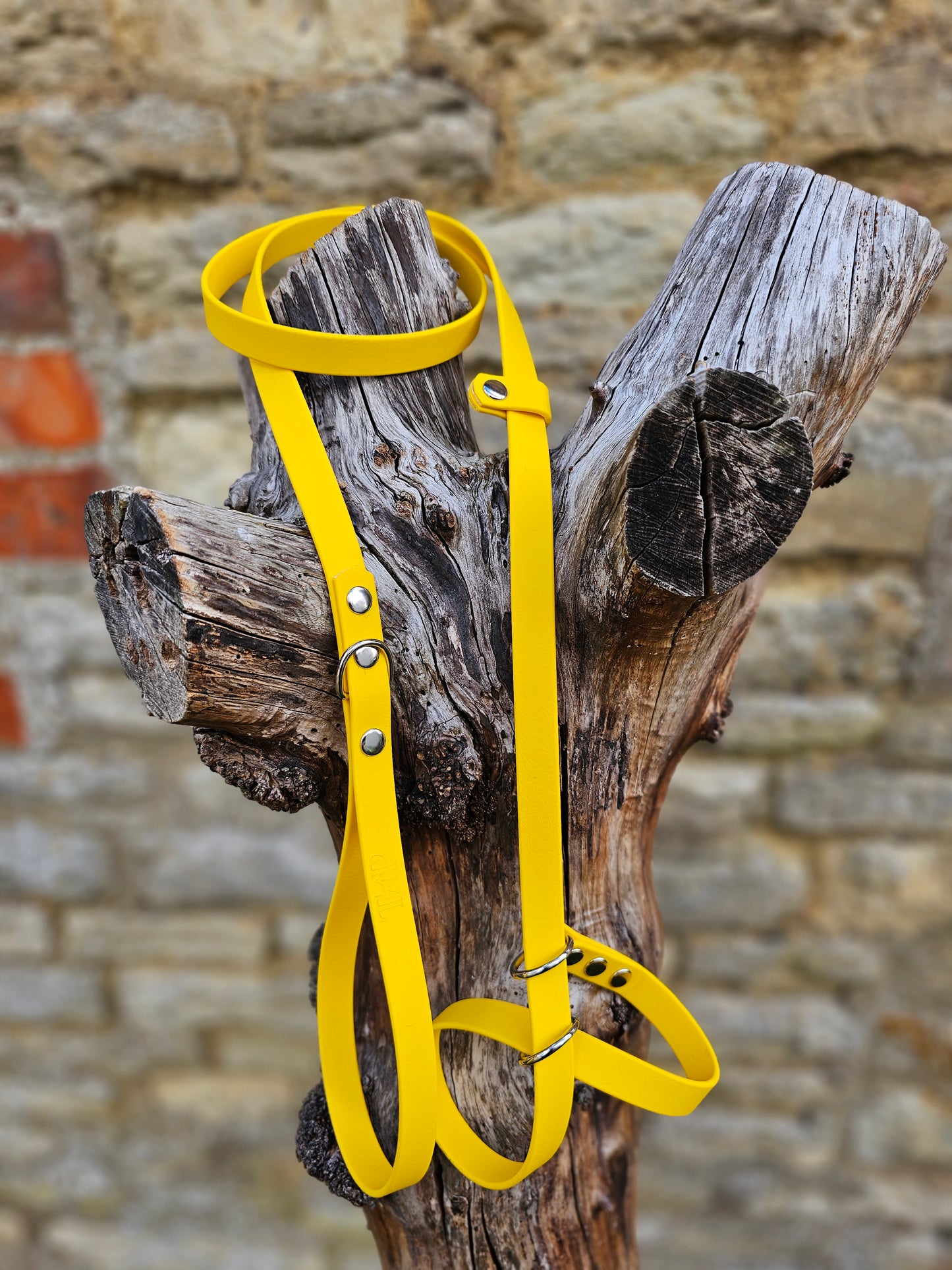 Yellow - Waterproof BioThane© Figure8 Dog Lead