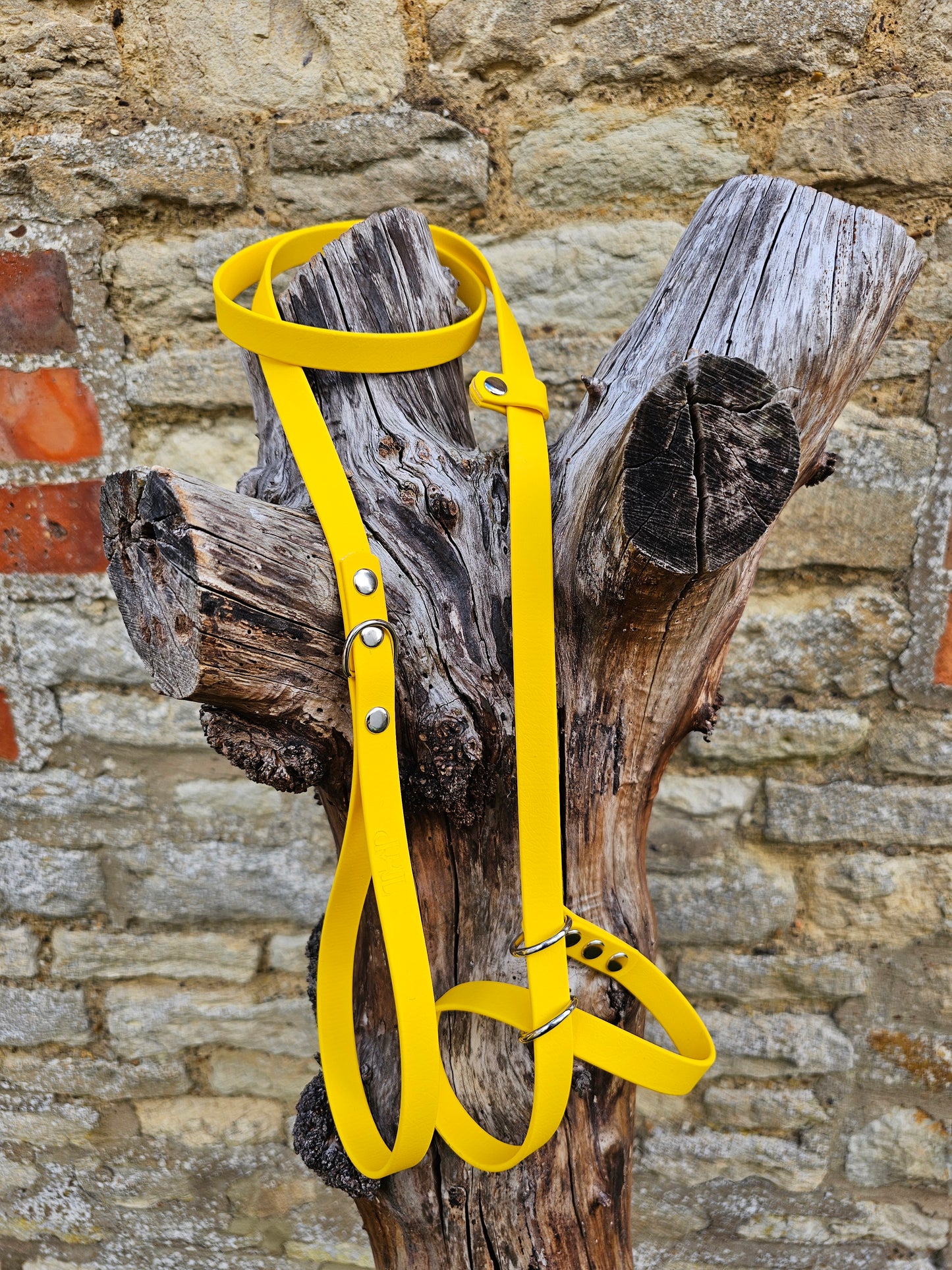 Yellow - Waterproof BioThane© Figure8 Dog Lead