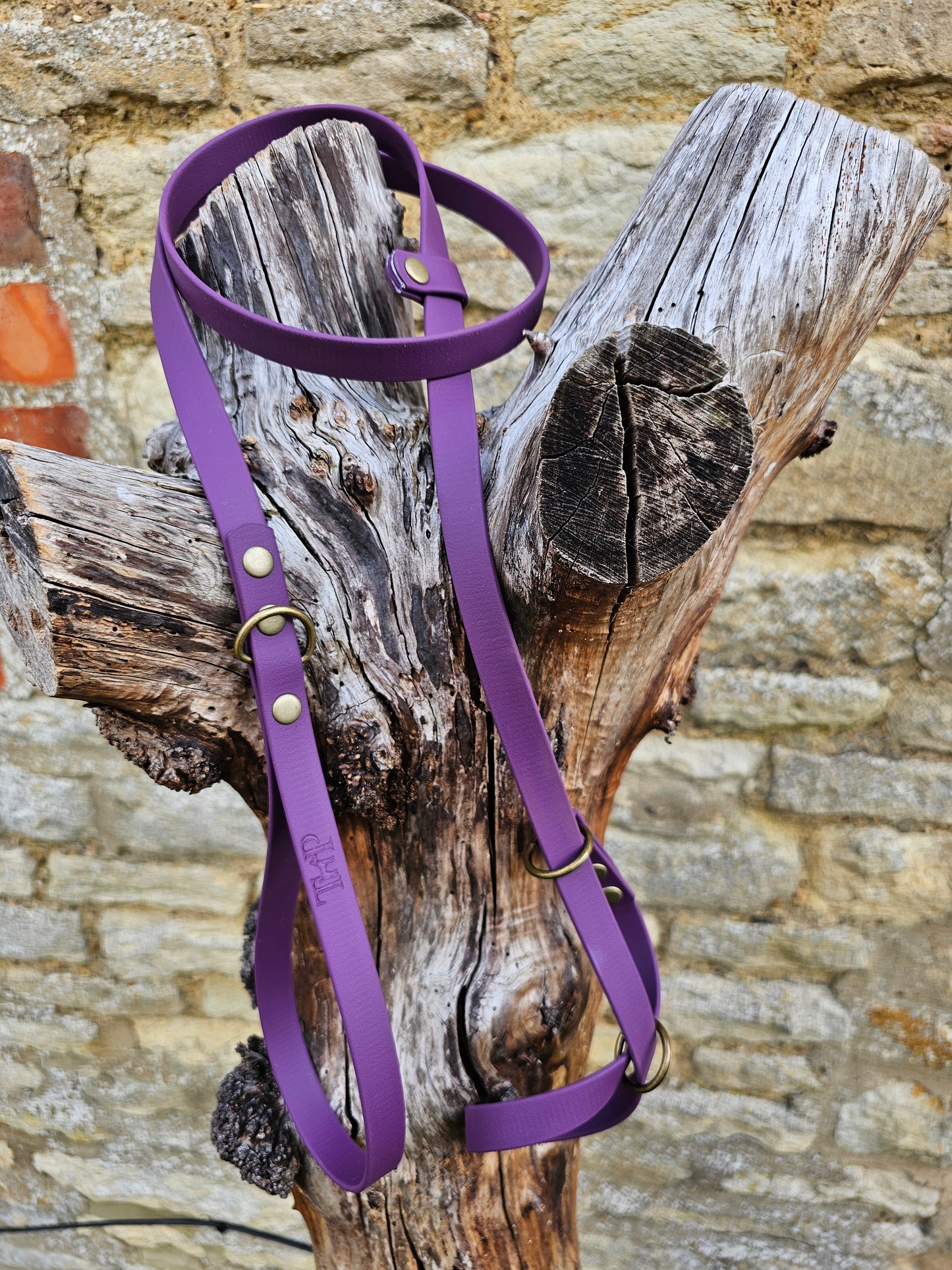 Aubergine - Waterproof BioThane© Figure8 Dog Lead