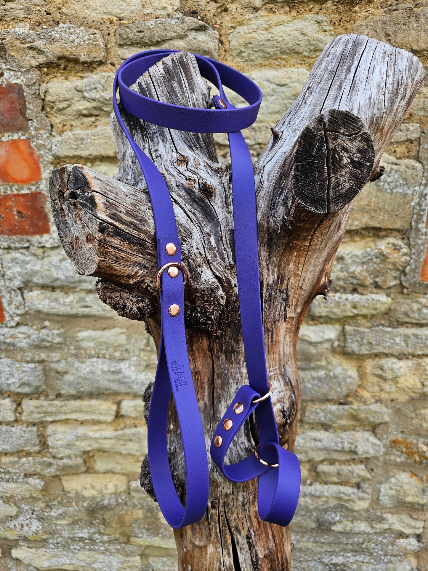 Purple - Waterproof BioThane© Figure8 Dog Lead