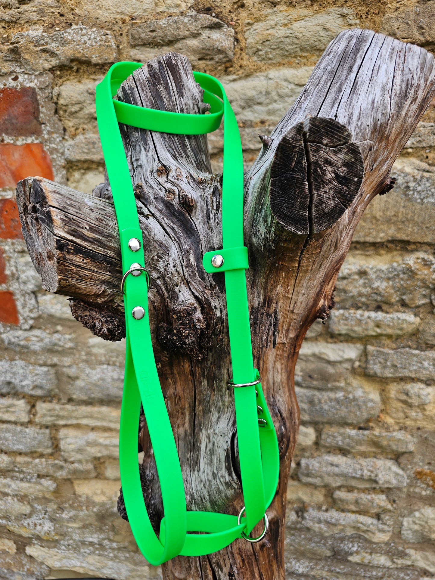 Neon Green - Waterproof BioThane© Figure8 Dog Lead