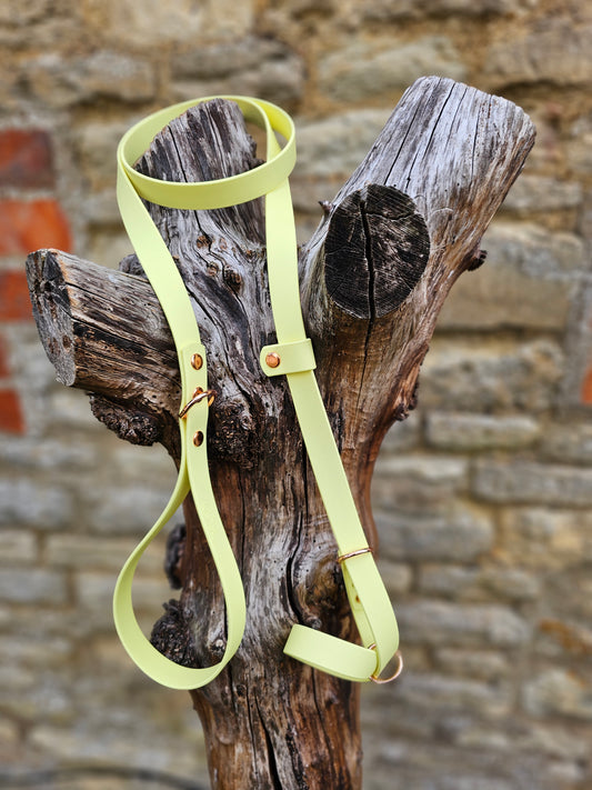 Lemon - Waterproof BioThane© Figure8 Dog Lead