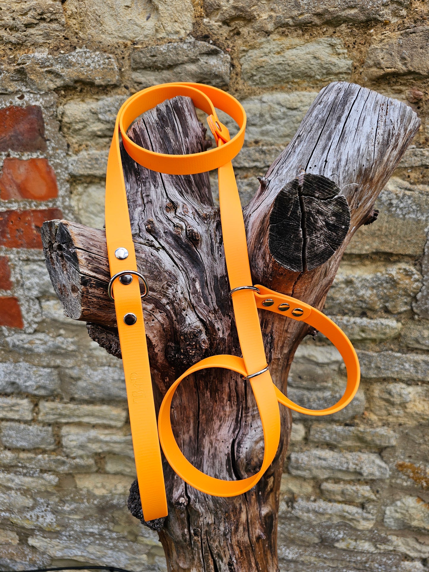 Orange - Waterproof BioThane© Figure8 Dog Lead