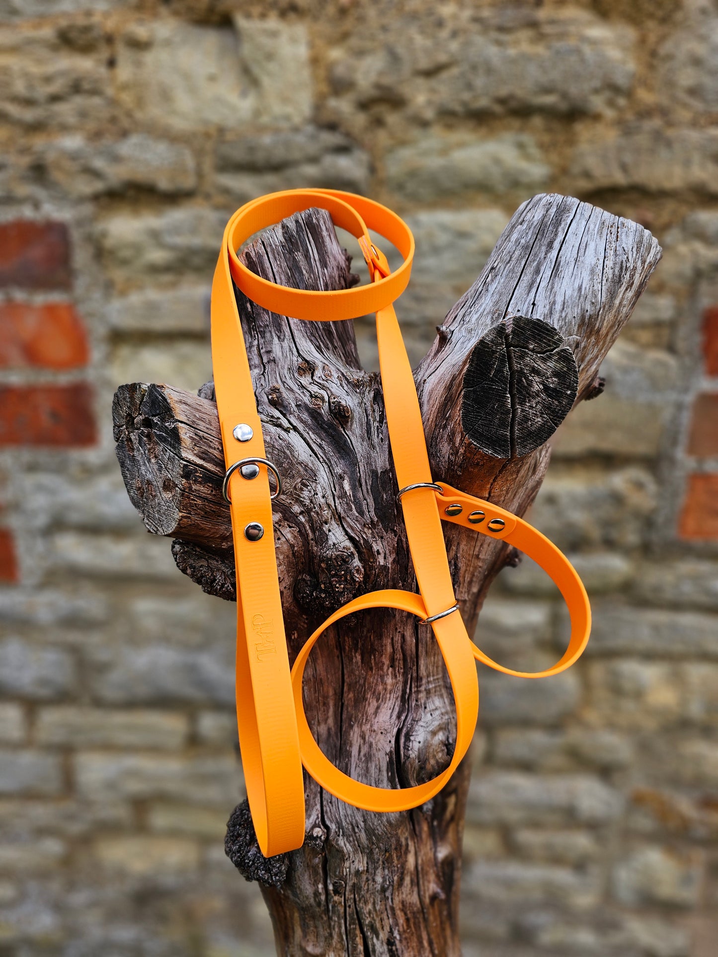 Orange - Waterproof BioThane© Figure8 Dog Lead