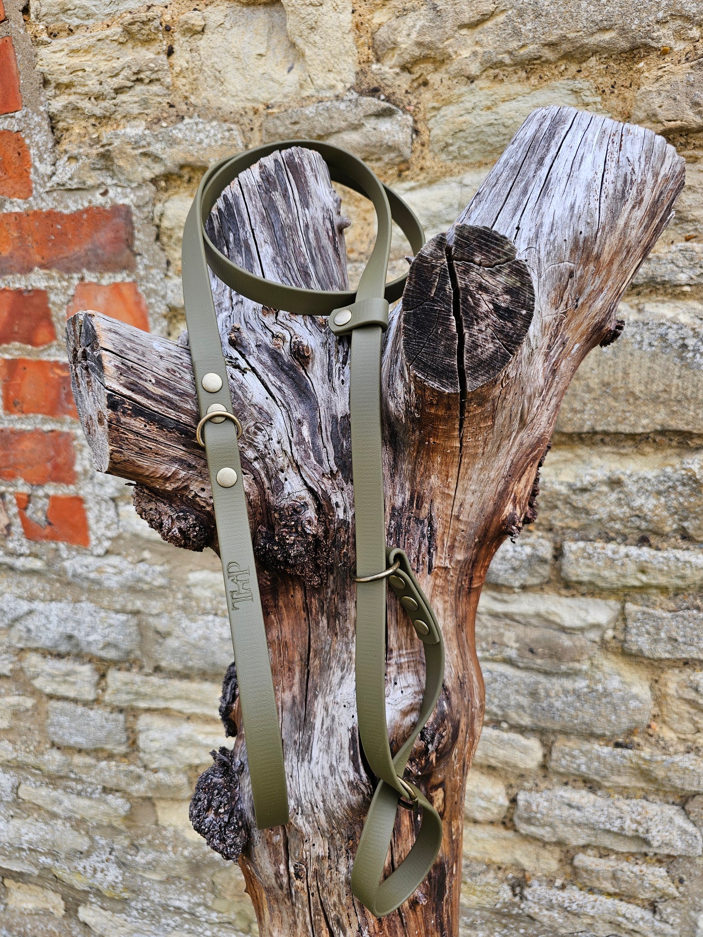 Olive - Waterproof BioThane© Figure8 Dog Lead