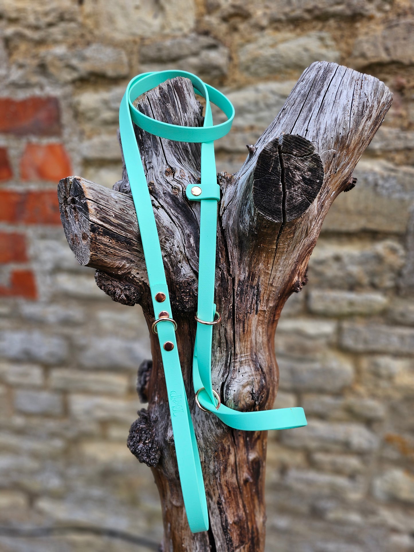 Mint - Waterproof BioThane© Figure8 Dog Lead