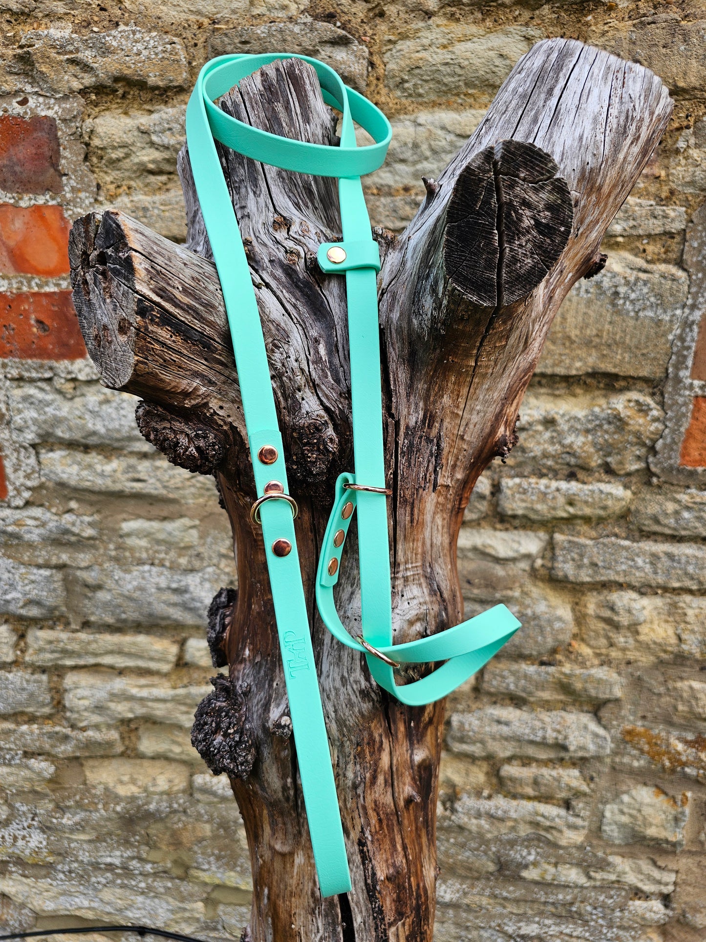 Mint - Waterproof BioThane© Figure8 Dog Lead