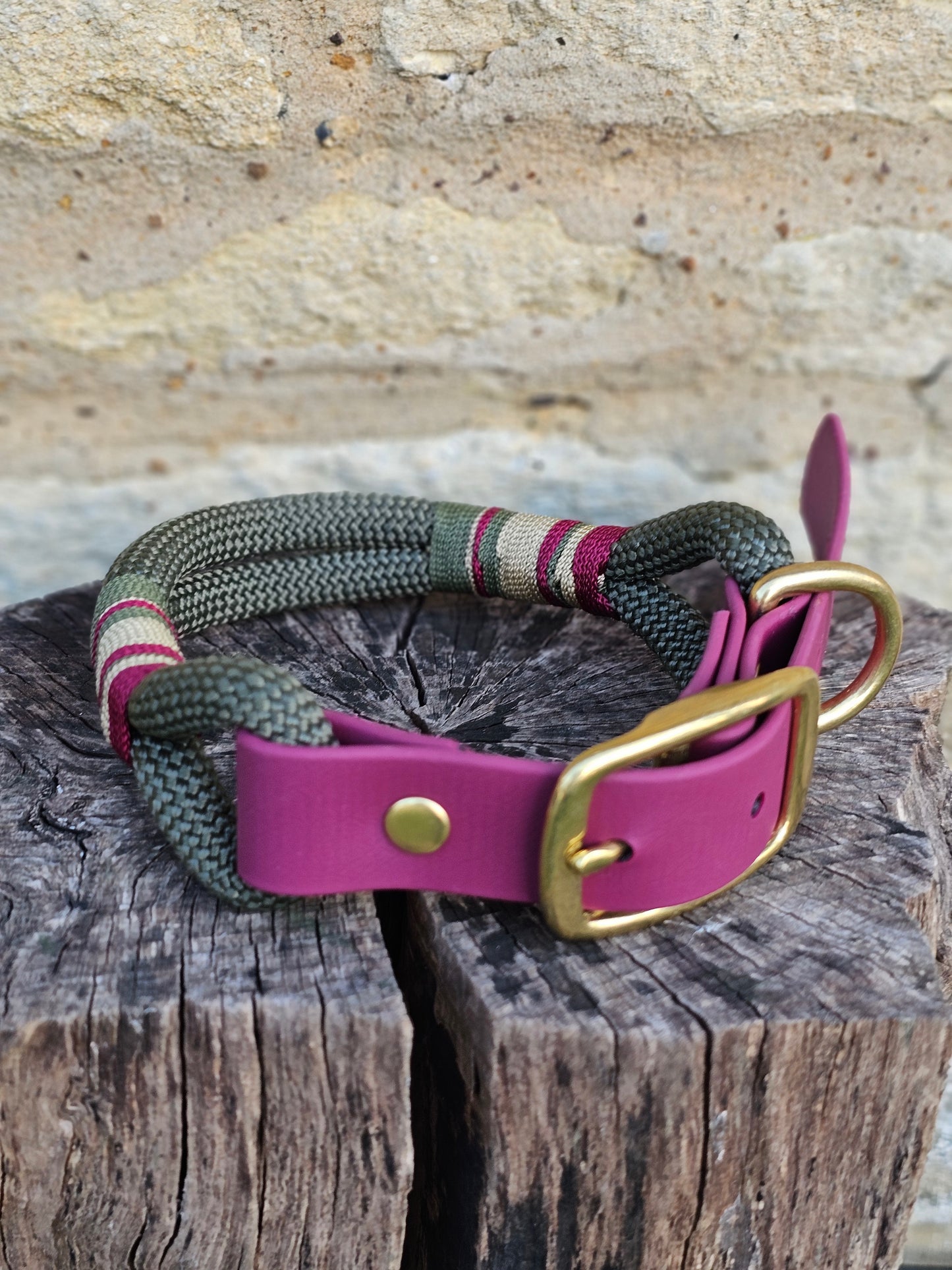 Winchester - Premium Rope Dog Collar