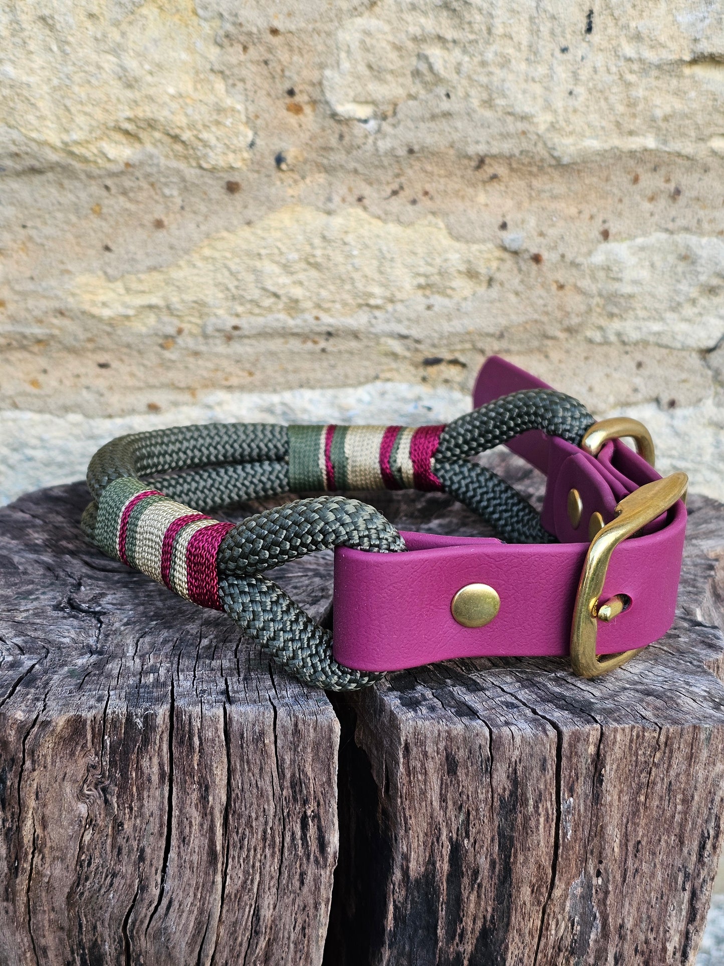 Winchester - Premium Rope Dog Collar
