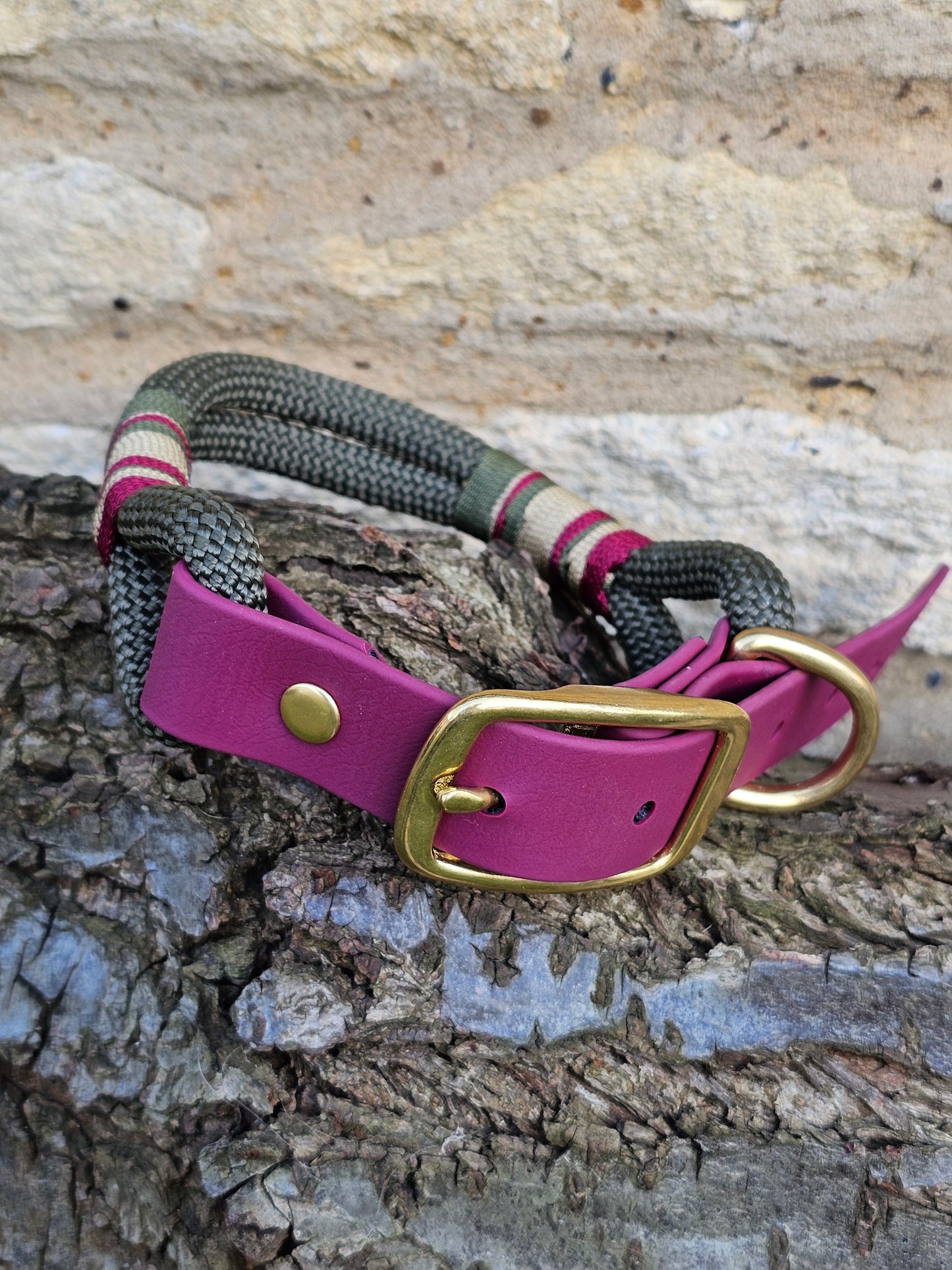 Winchester - Premium Rope Dog Collar