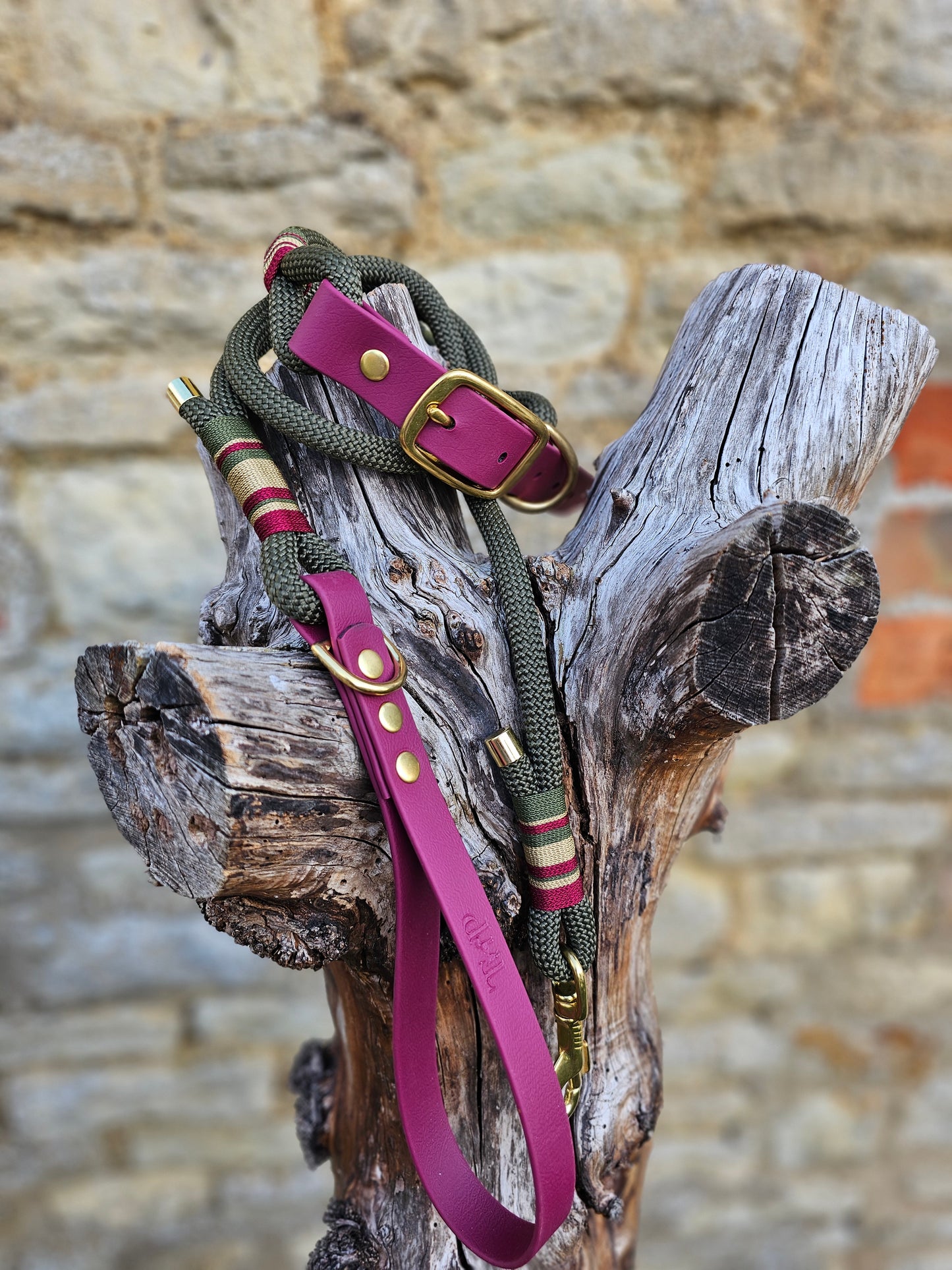 Winchester - Premium Rope Dog Lead