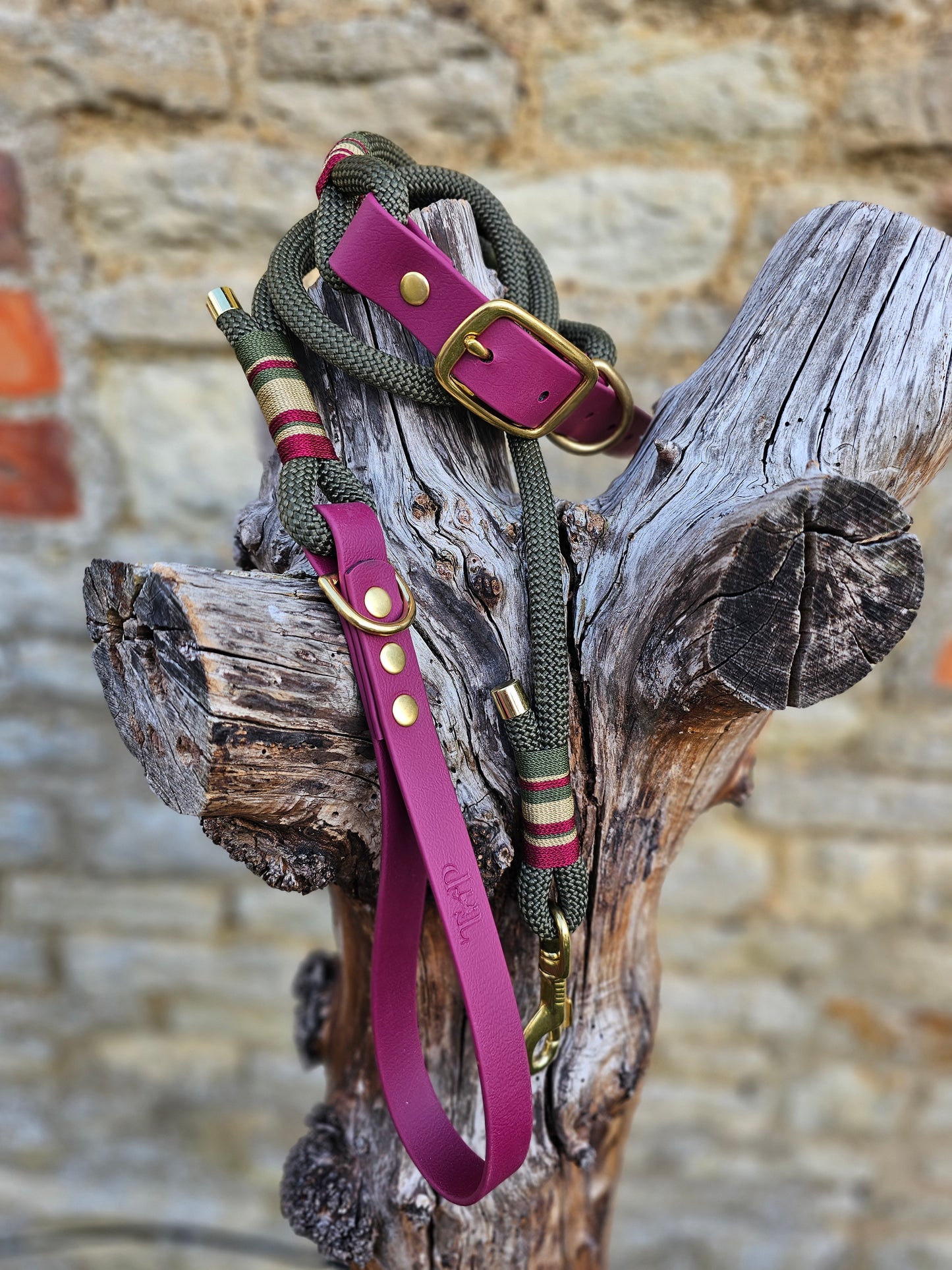Winchester - Premium Rope Dog Collar