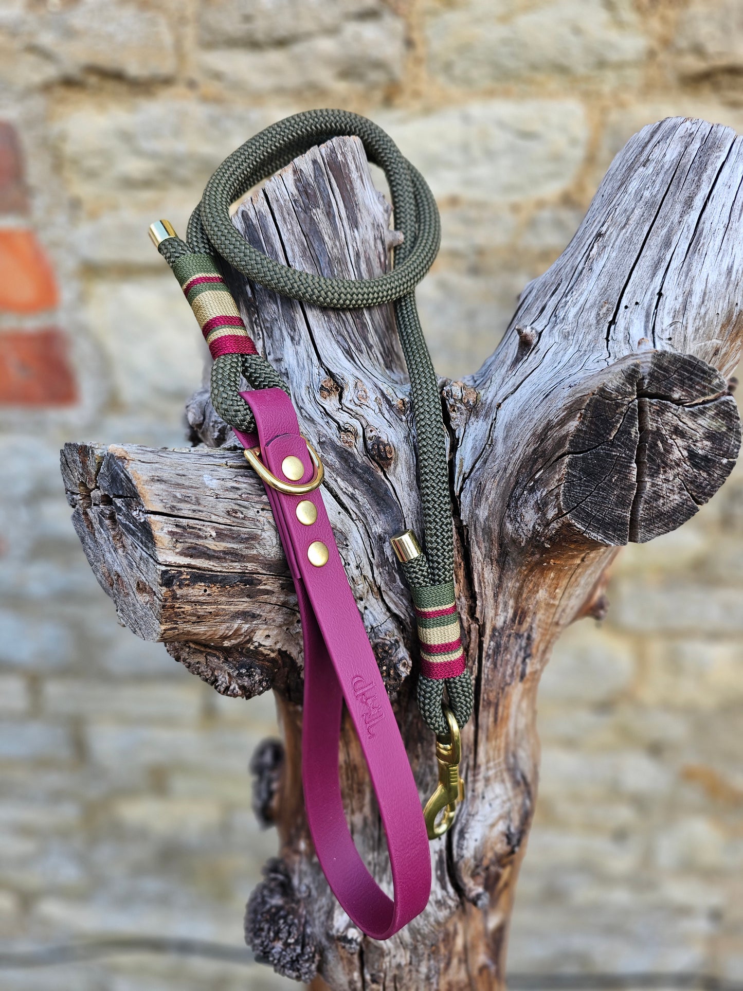 Winchester - Premium Rope Dog Lead