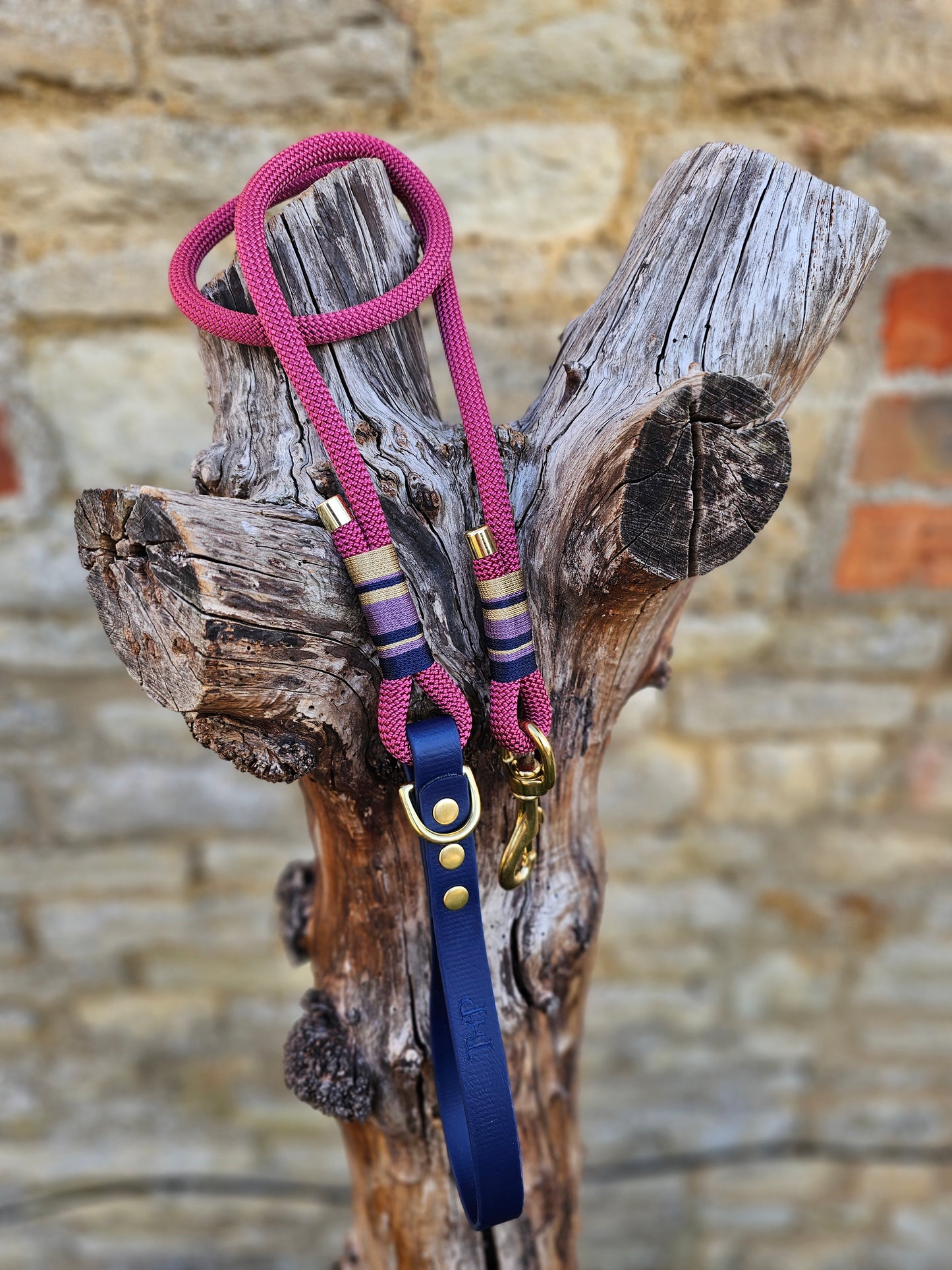 Oxford - Premium Rope Dog Lead