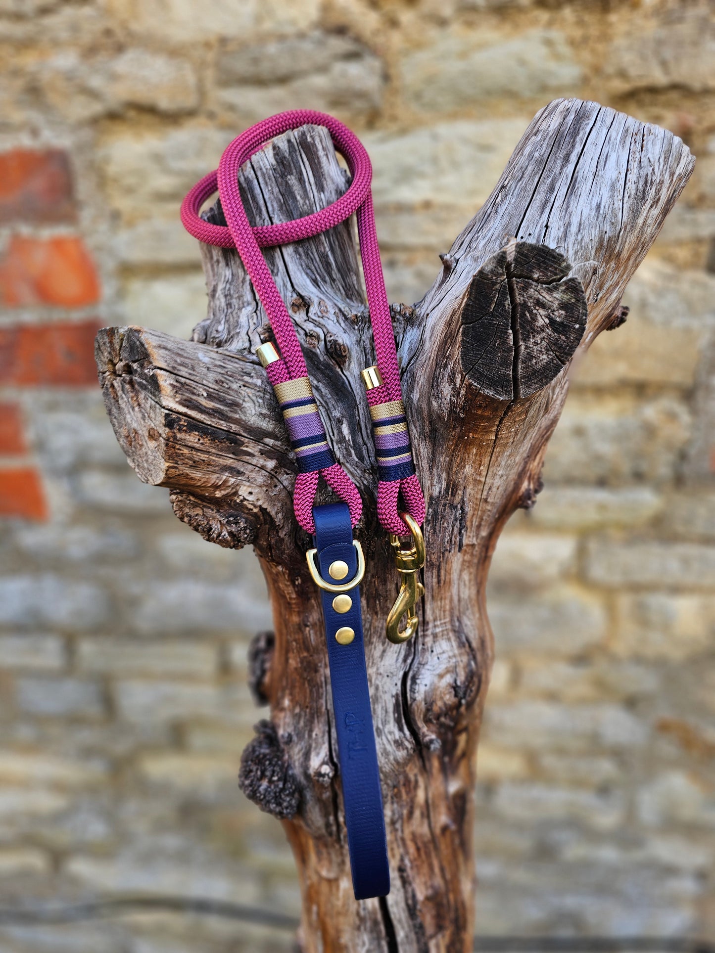Oxford - Premium Rope Dog Lead