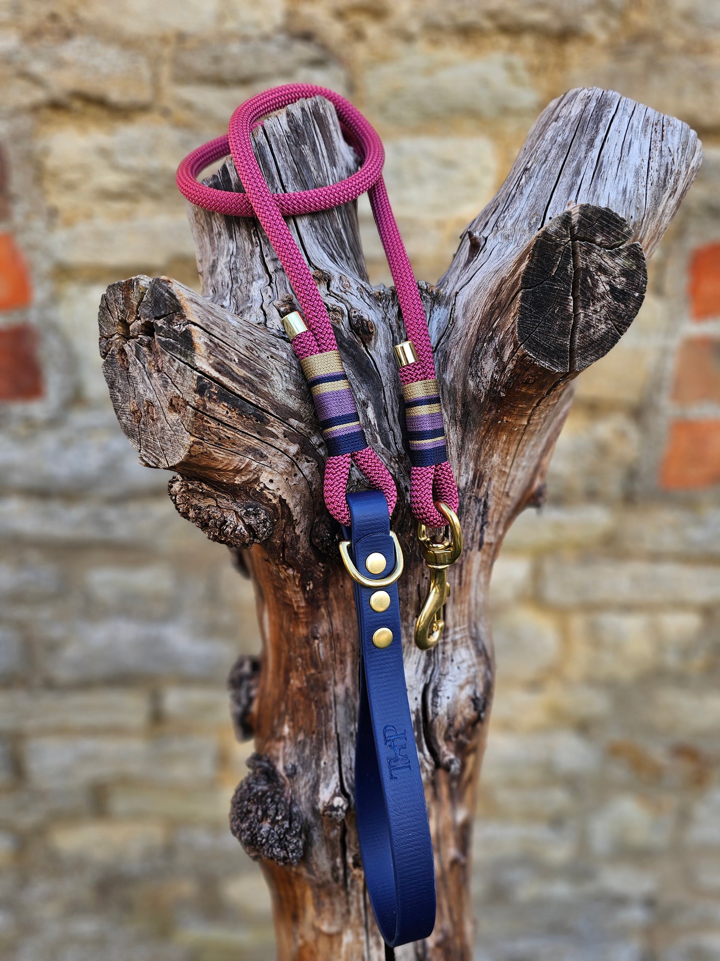 Oxford - Premium Rope Dog Lead