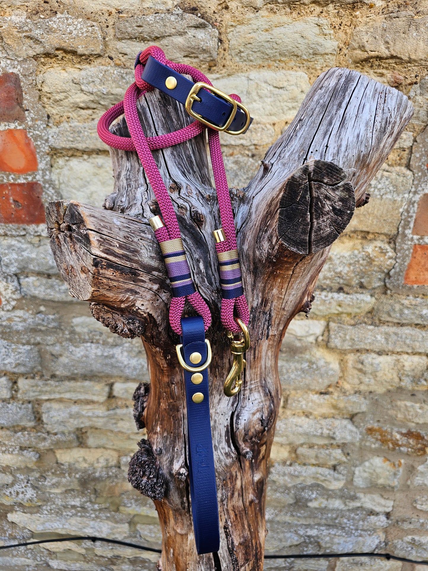 Oxford - Premium Rope Dog Lead