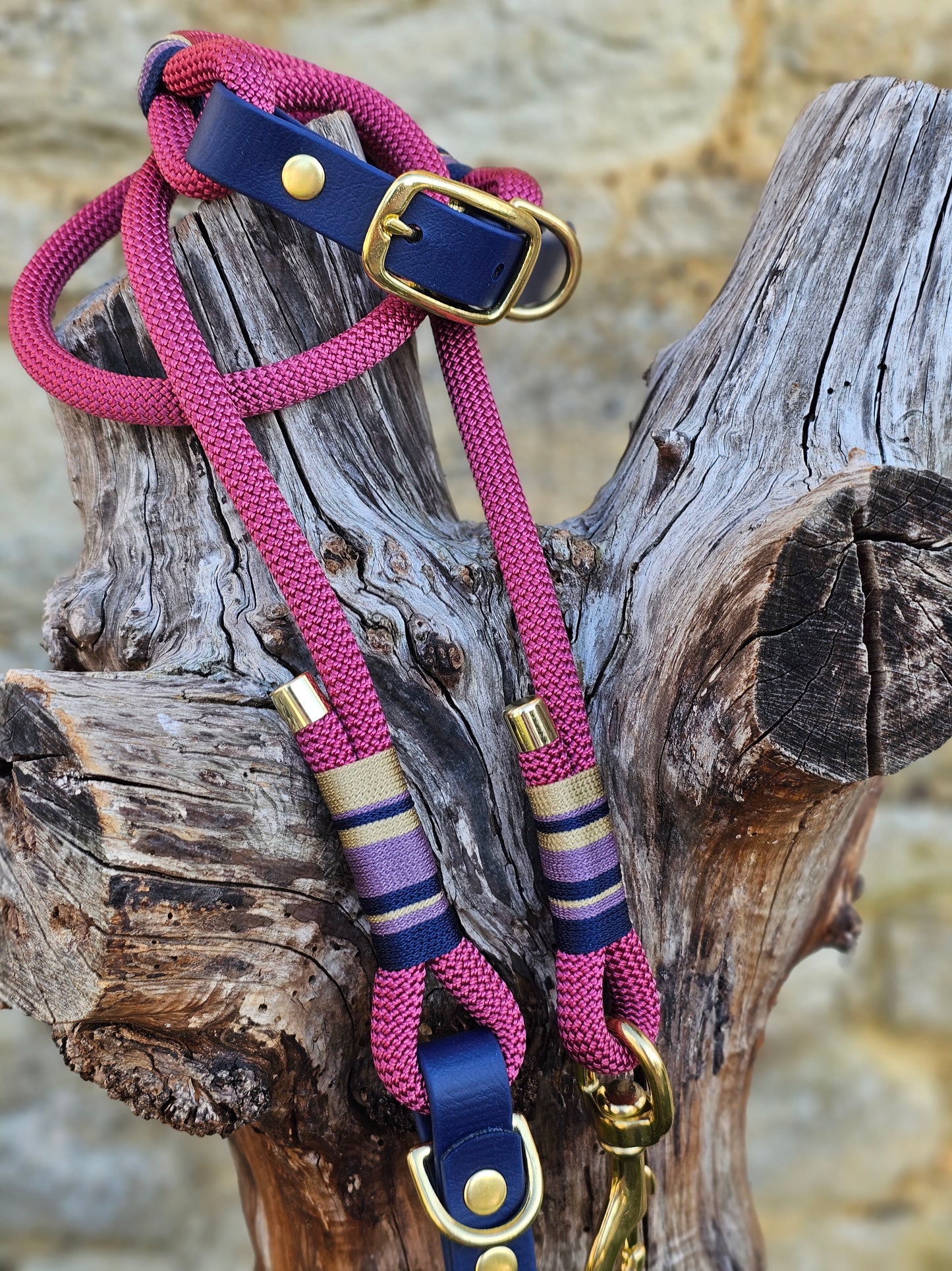 Oxford - Premium Rope Dog Collar