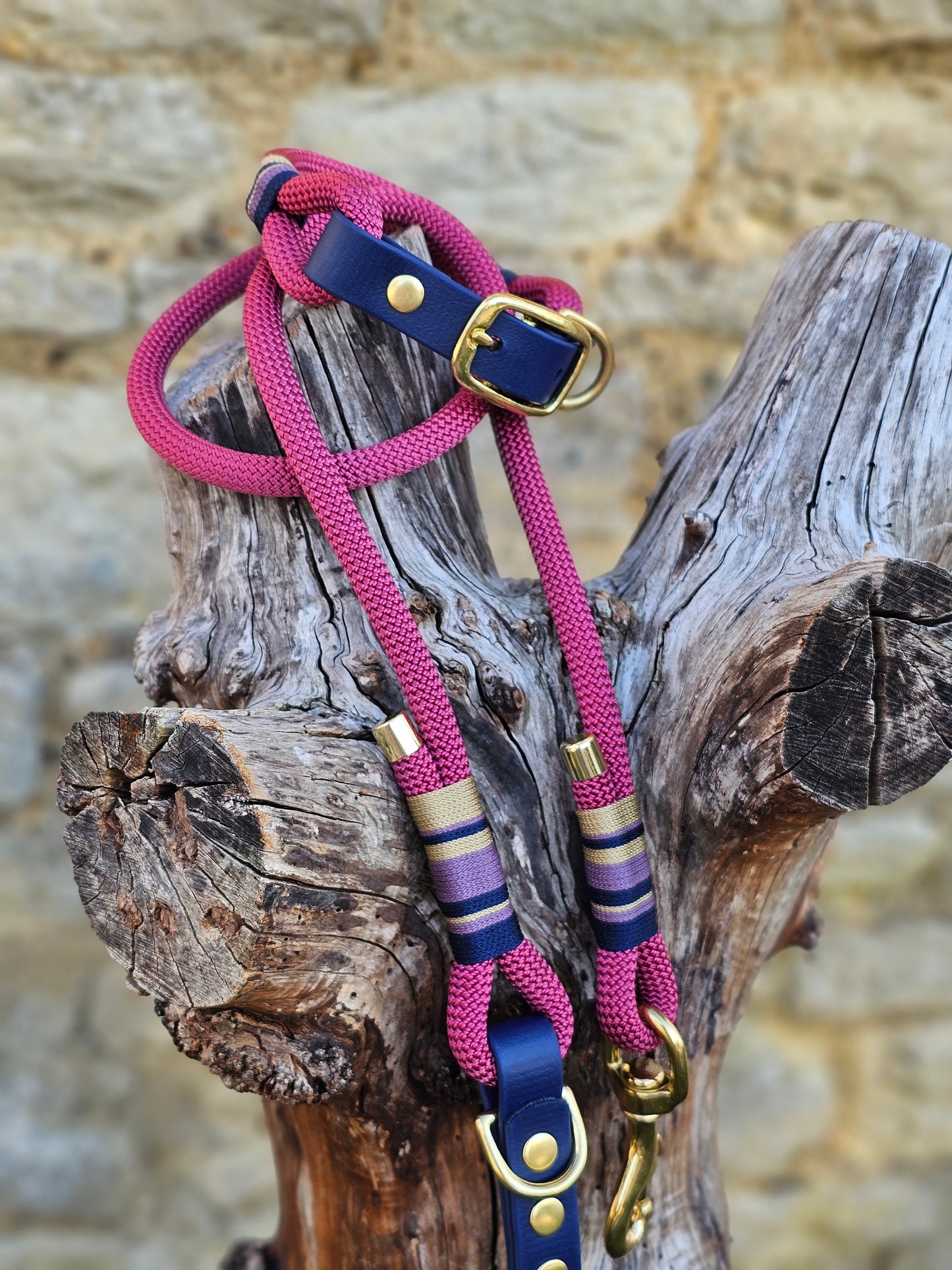 Oxford - Premium Rope Dog Lead