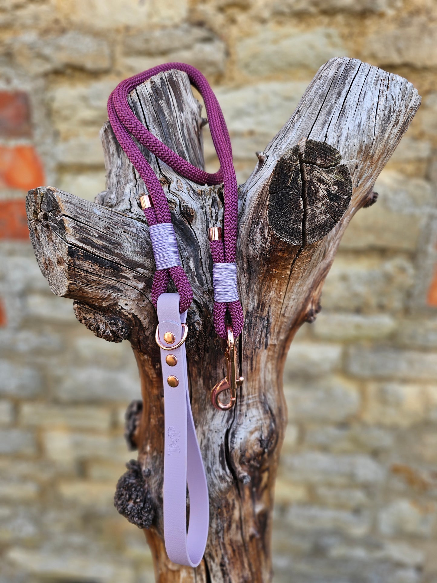 Aubergine & Lilac - Classic Rope Dog Lead