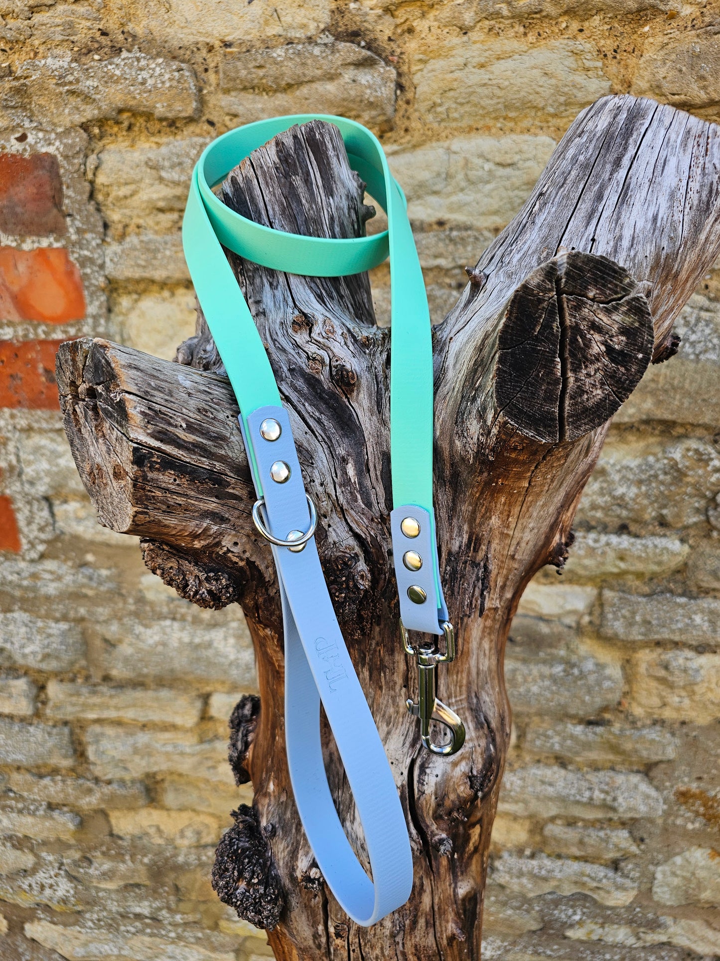 Mint & Baby Blue - Waterproof BioThane© Dog Lead