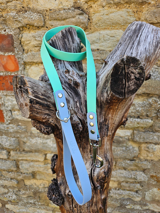 Mint & Baby Blue - Waterproof BioThane© Dog Lead