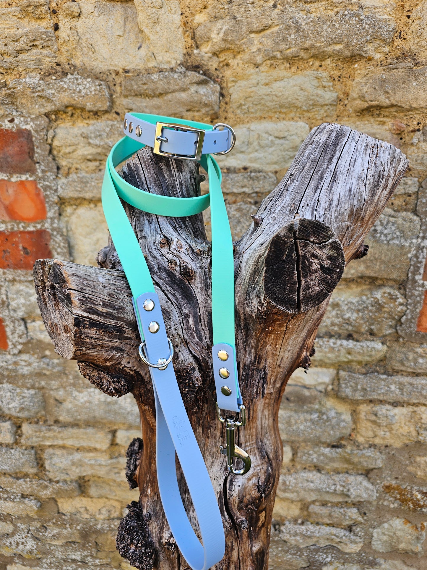 Mint & Baby Blue - Waterproof BioThane© two-coloured Dog Collar