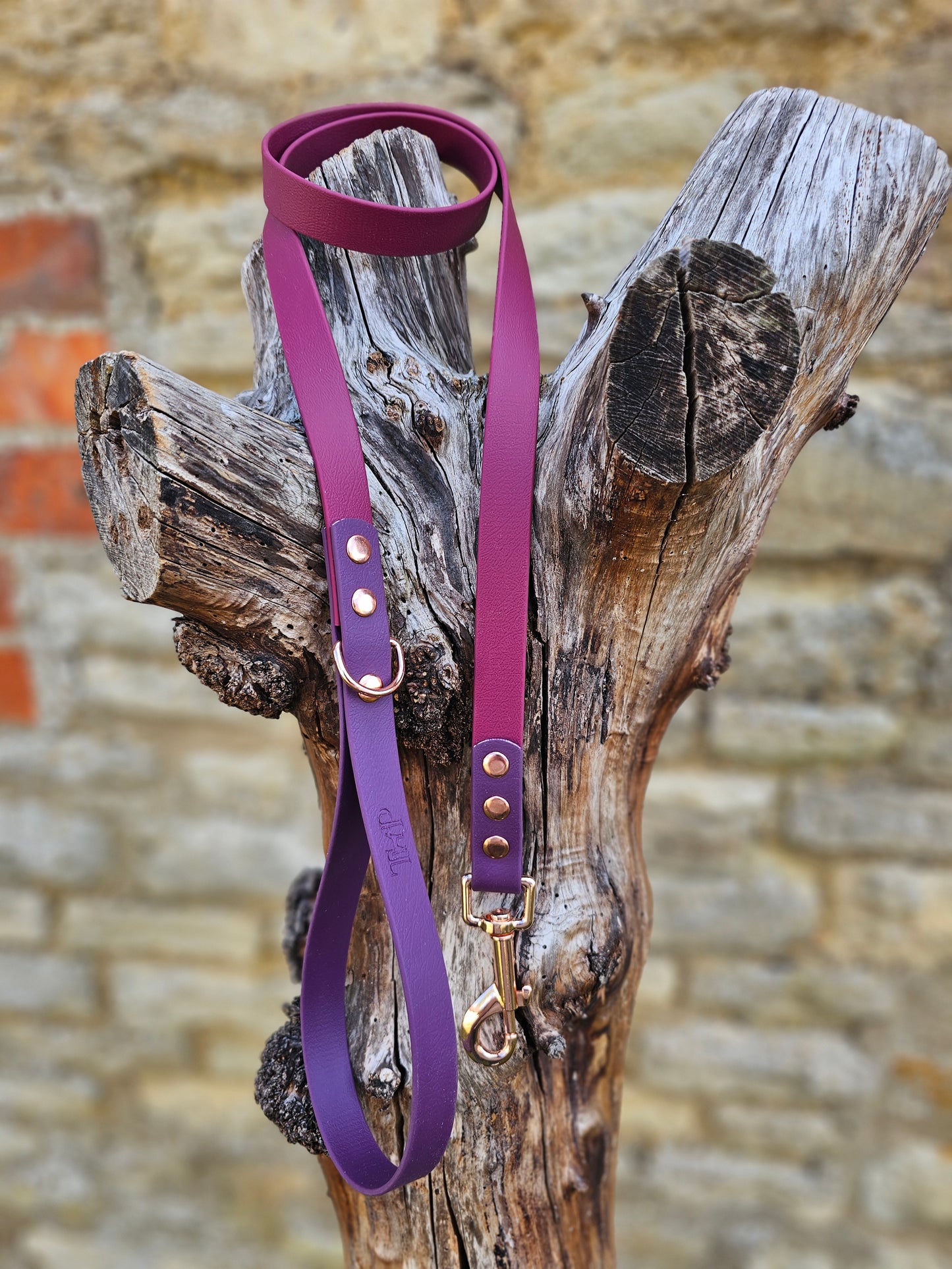 Burgundy & Aubergine - Waterproof BioThane© Dog Lead