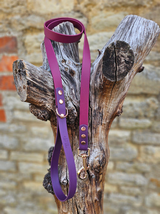 Burgundy & Aubergine - Waterproof BioThane© Dog Lead