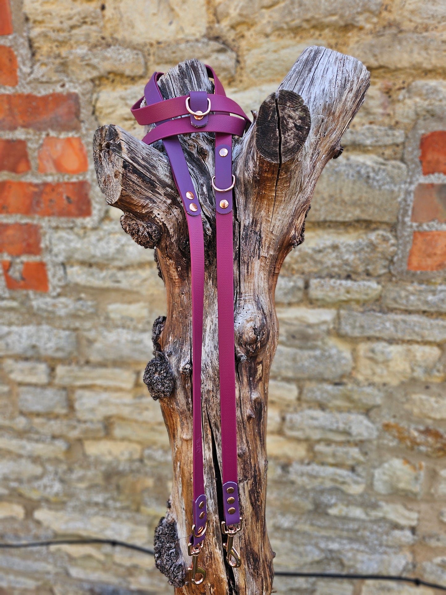 Burgundy & Aubergine - Waterproof BioThane© handsfree Dog Training Lead