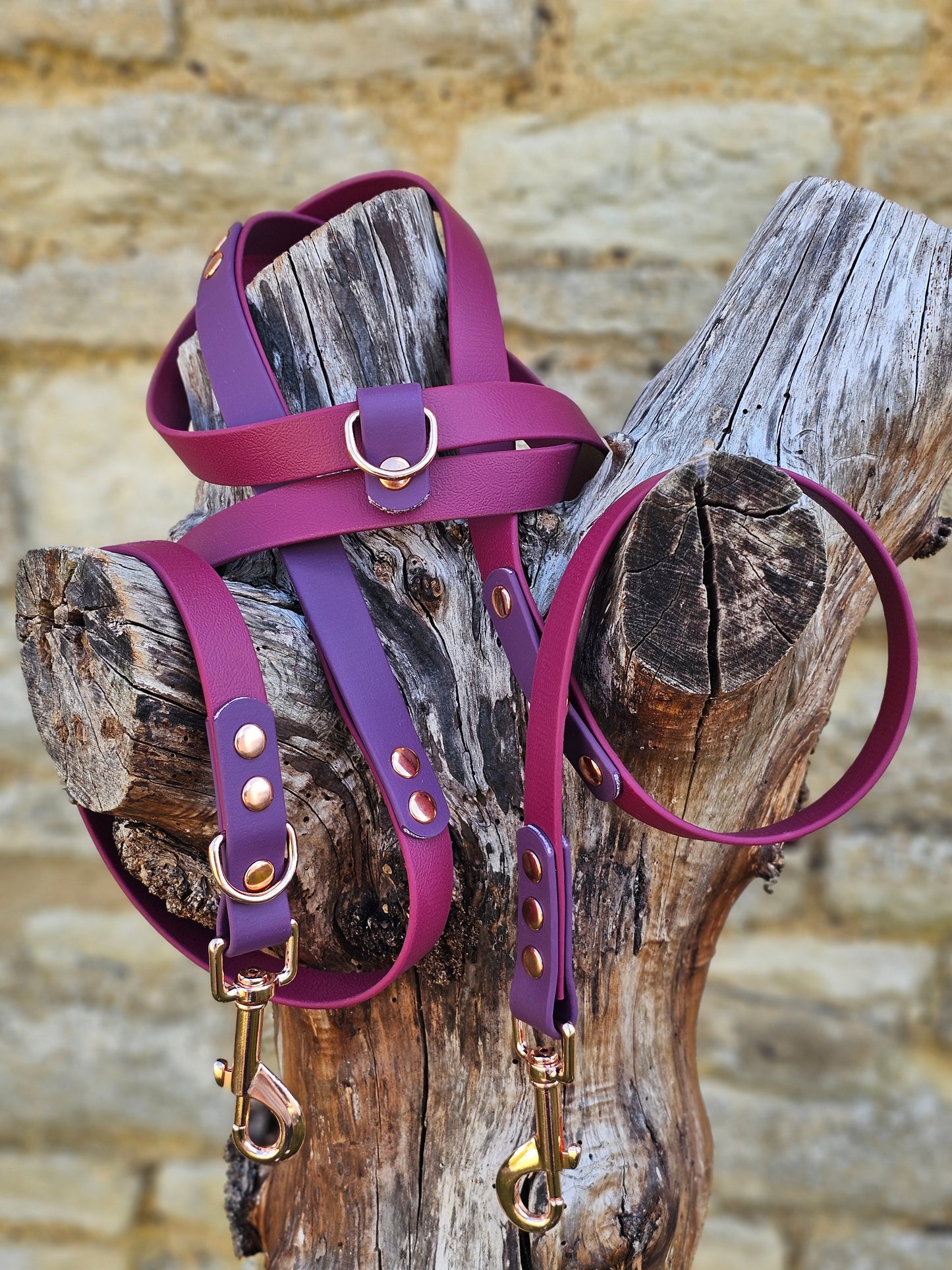 Burgundy & Aubergine - Waterproof BioThane© handsfree Dog Training Lead