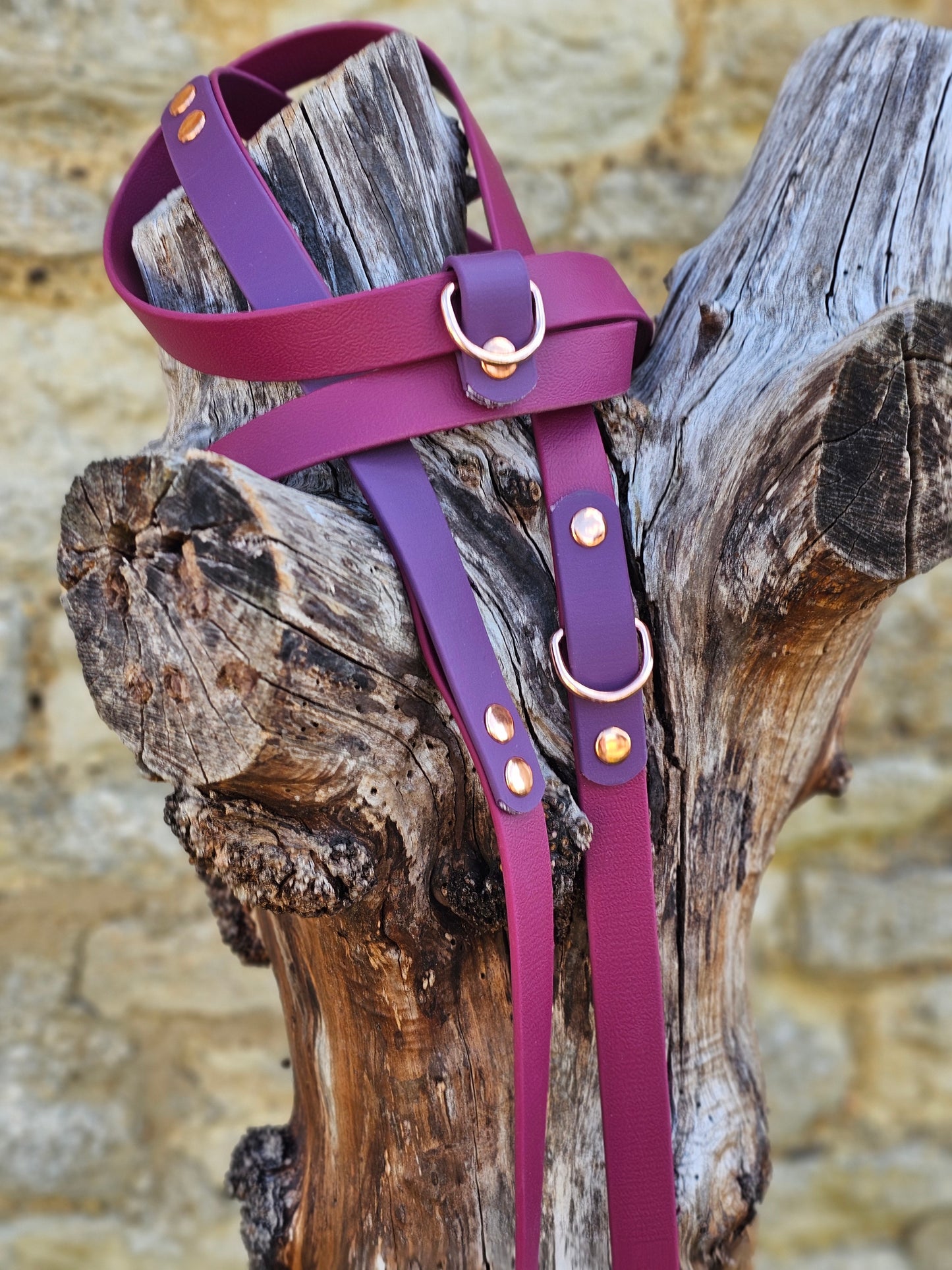 Burgundy & Aubergine - Waterproof BioThane© handsfree Dog Training Lead