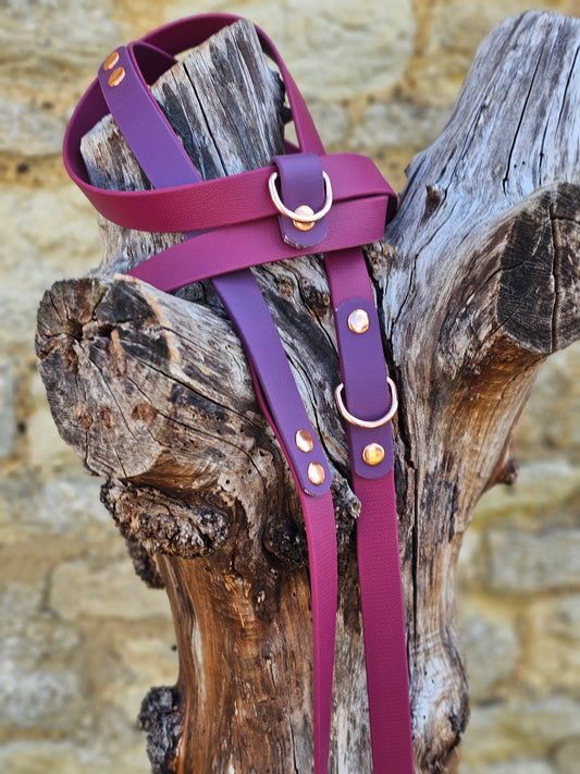 Burgundy & Aubergine - Waterproof BioThane© handsfree Dog Training Lead