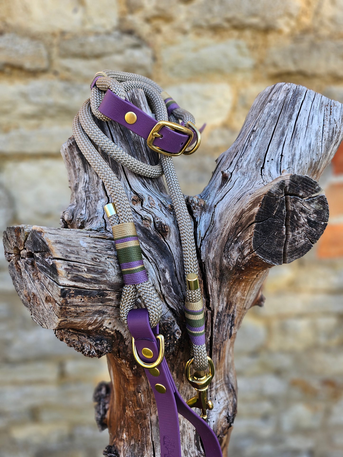 Henley - Premium Rope Dog Lead