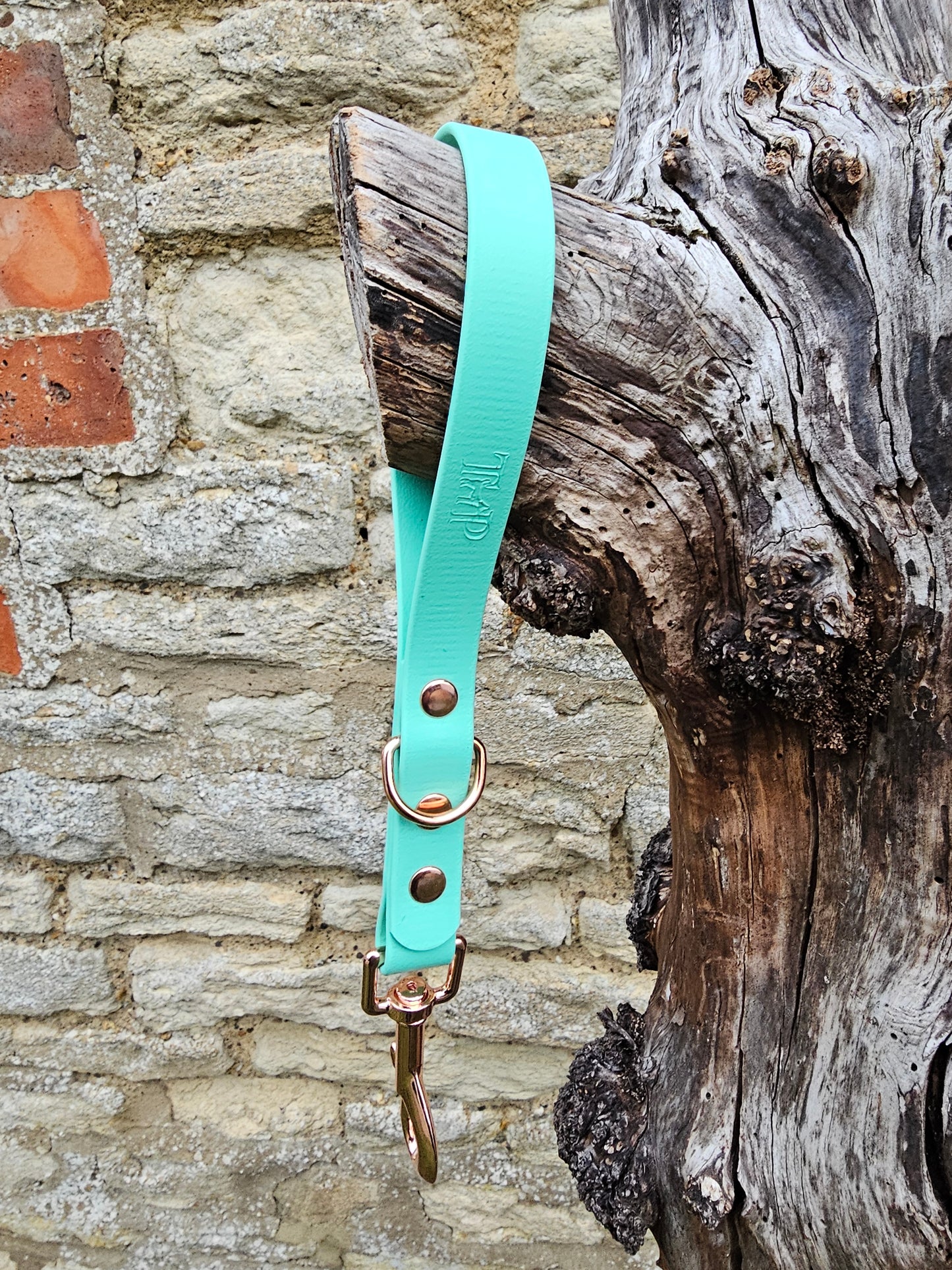 Mint -  Waterproof BioThane® Short Dog Control Lead / Dog Traffic Handle