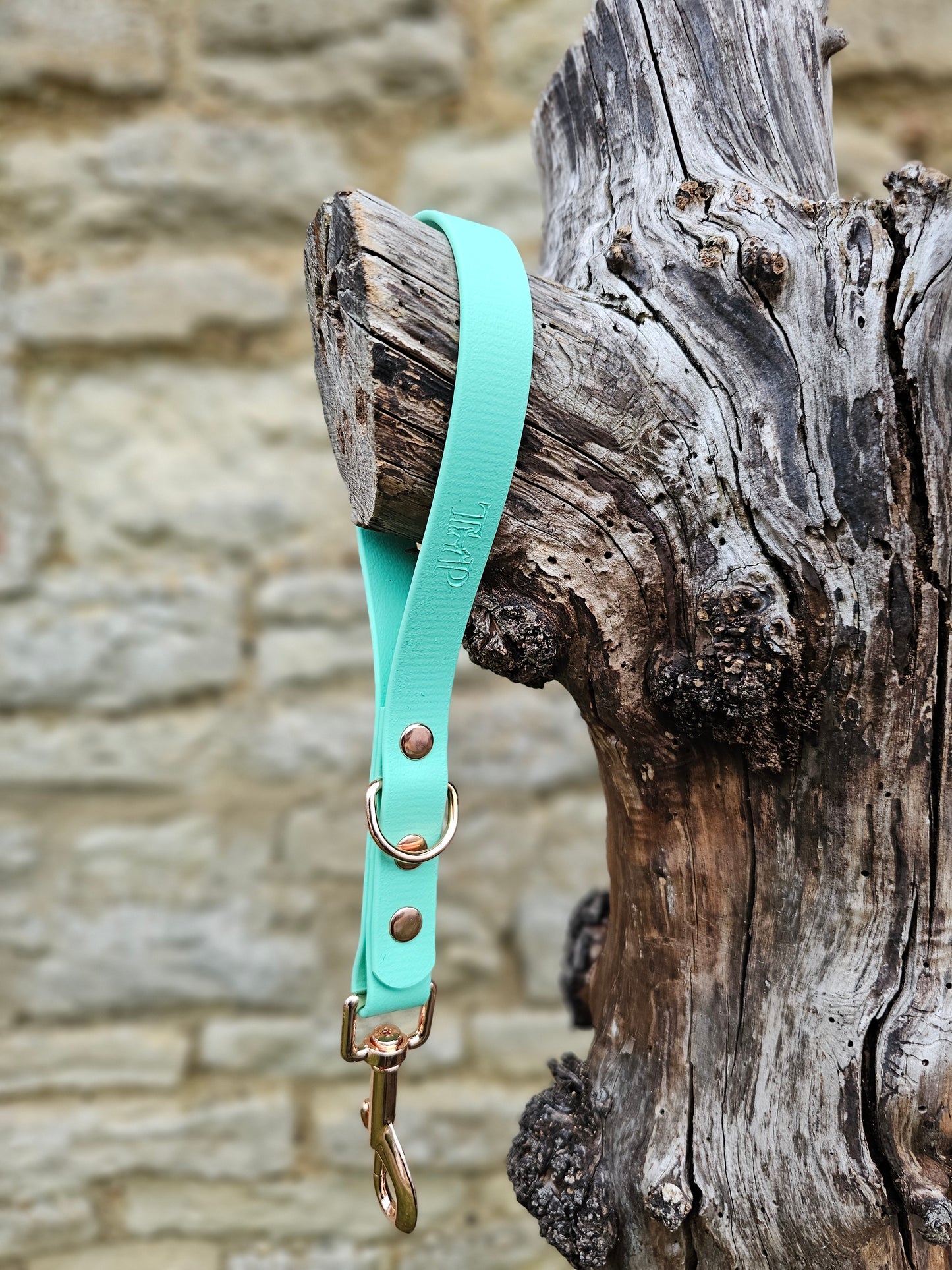 Mint -  Waterproof BioThane® Short Dog Control Lead / Dog Traffic Handle