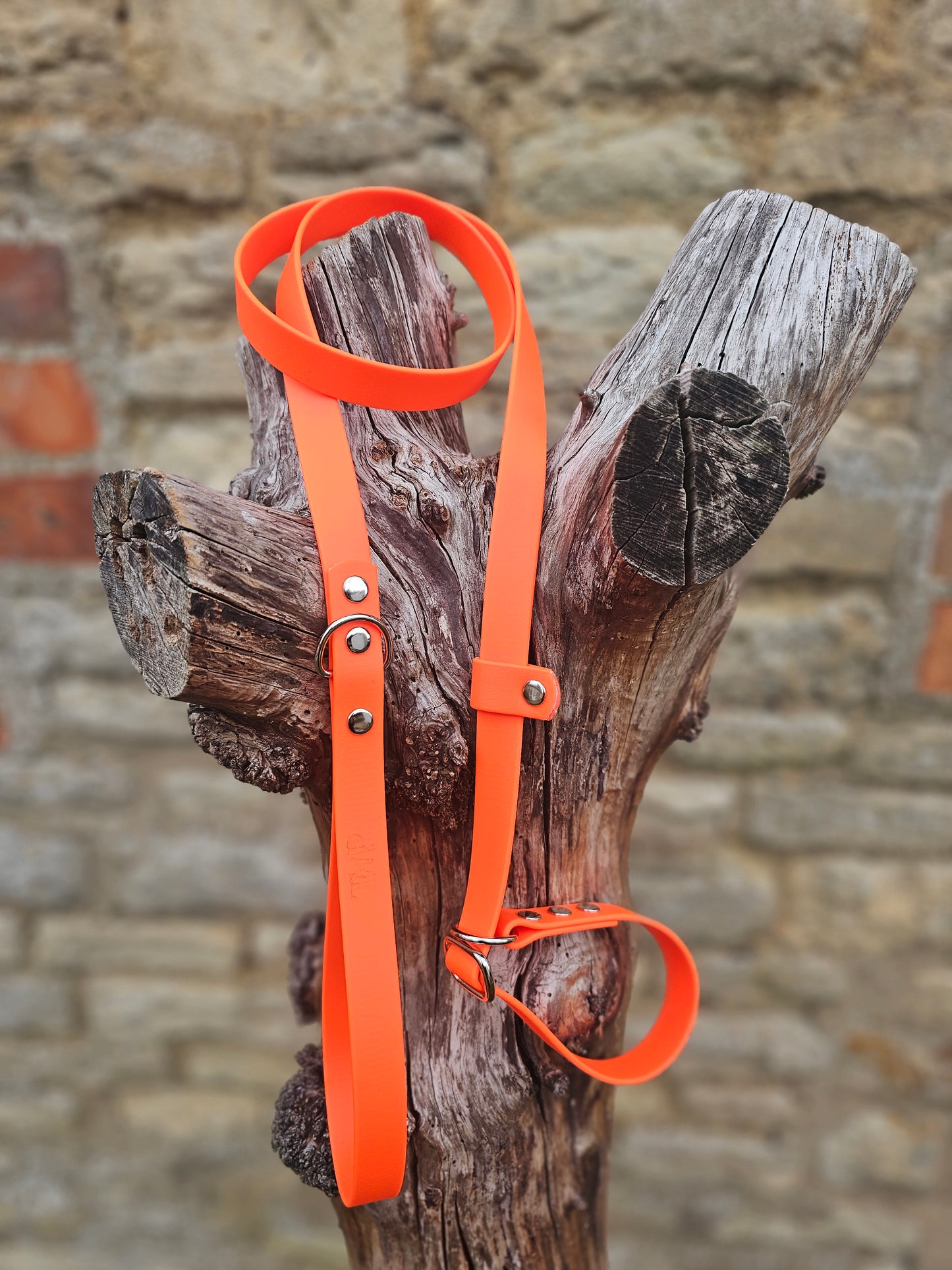 Neon Orange - Waterproof BioThane® Dog Slip Lead