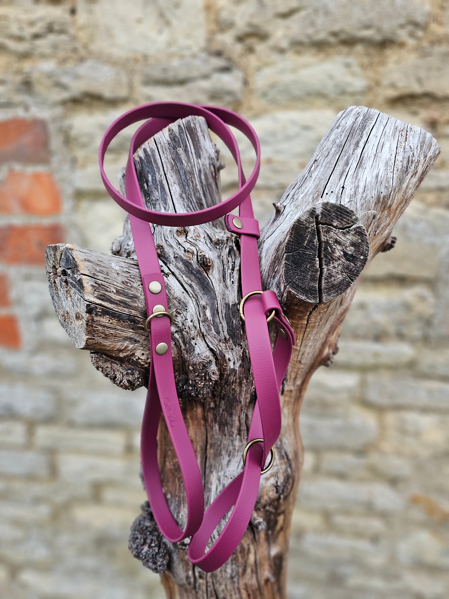 Burgundy - Waterproof BioThane© Figure8 Dog Lead