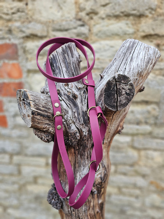 Burgundy - Waterproof BioThane© Figure8 Dog Lead