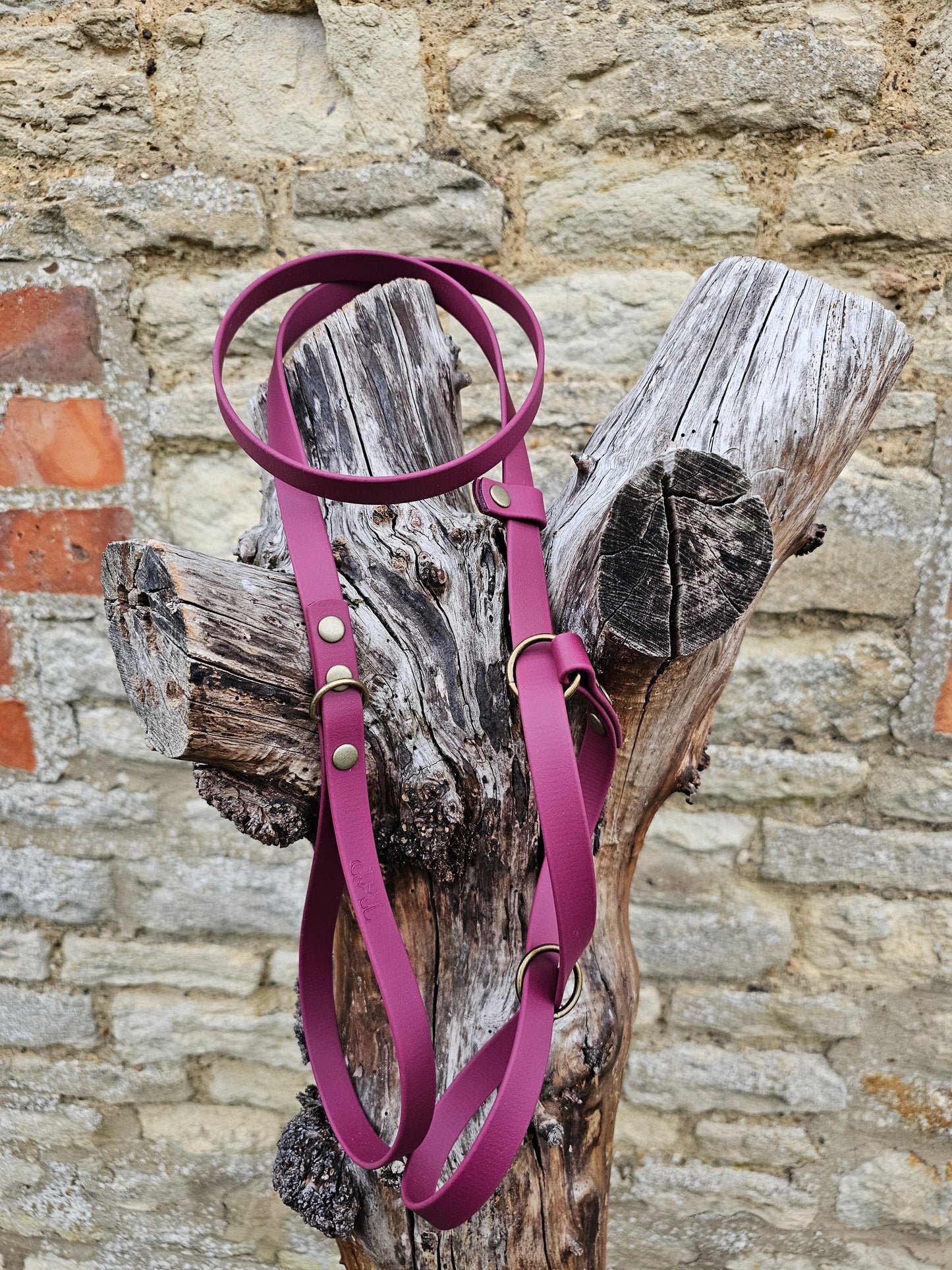 Burgundy - Waterproof BioThane© Figure8 Dog Lead