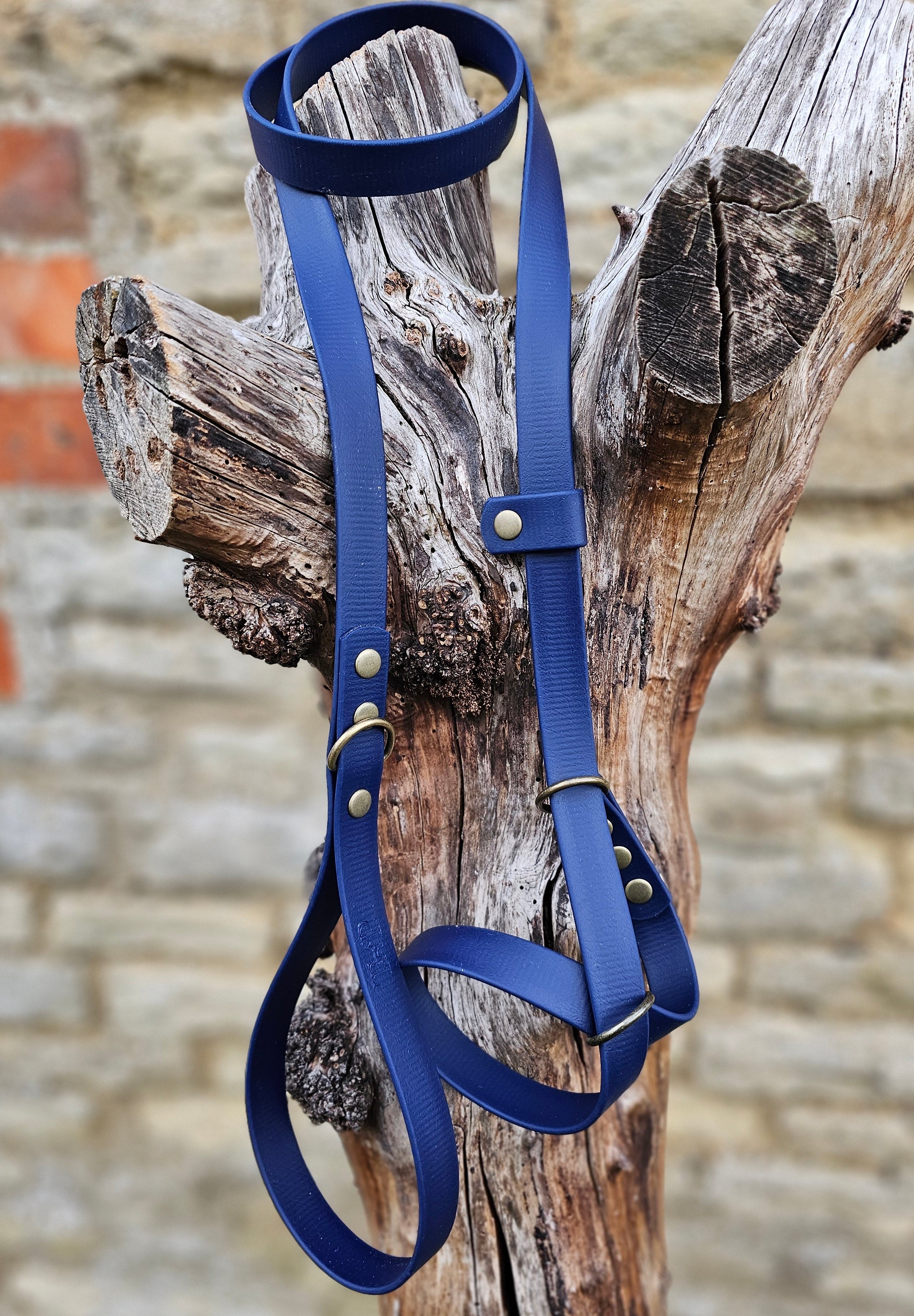 Blue Biothane Figure-8 Dog Lead on a wooden log with a stone wall background