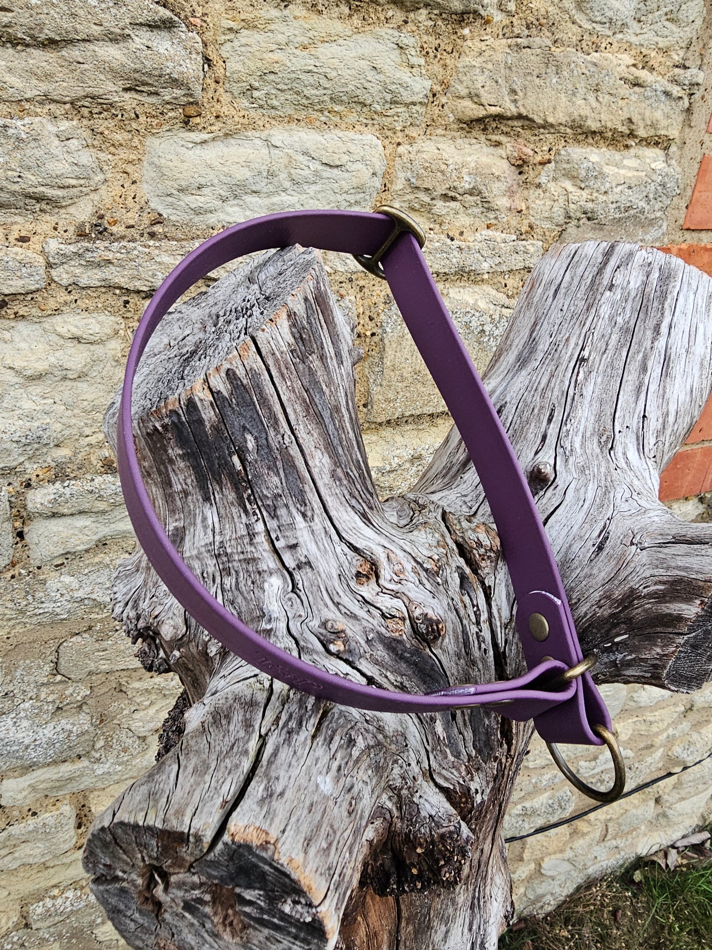 Aubergine Waterproof BioThane® safe-stop Slip Collar