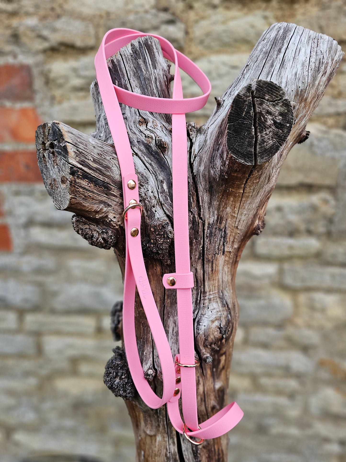 Baby Pink - Waterproof BioThane© Figure8 Dog Lead