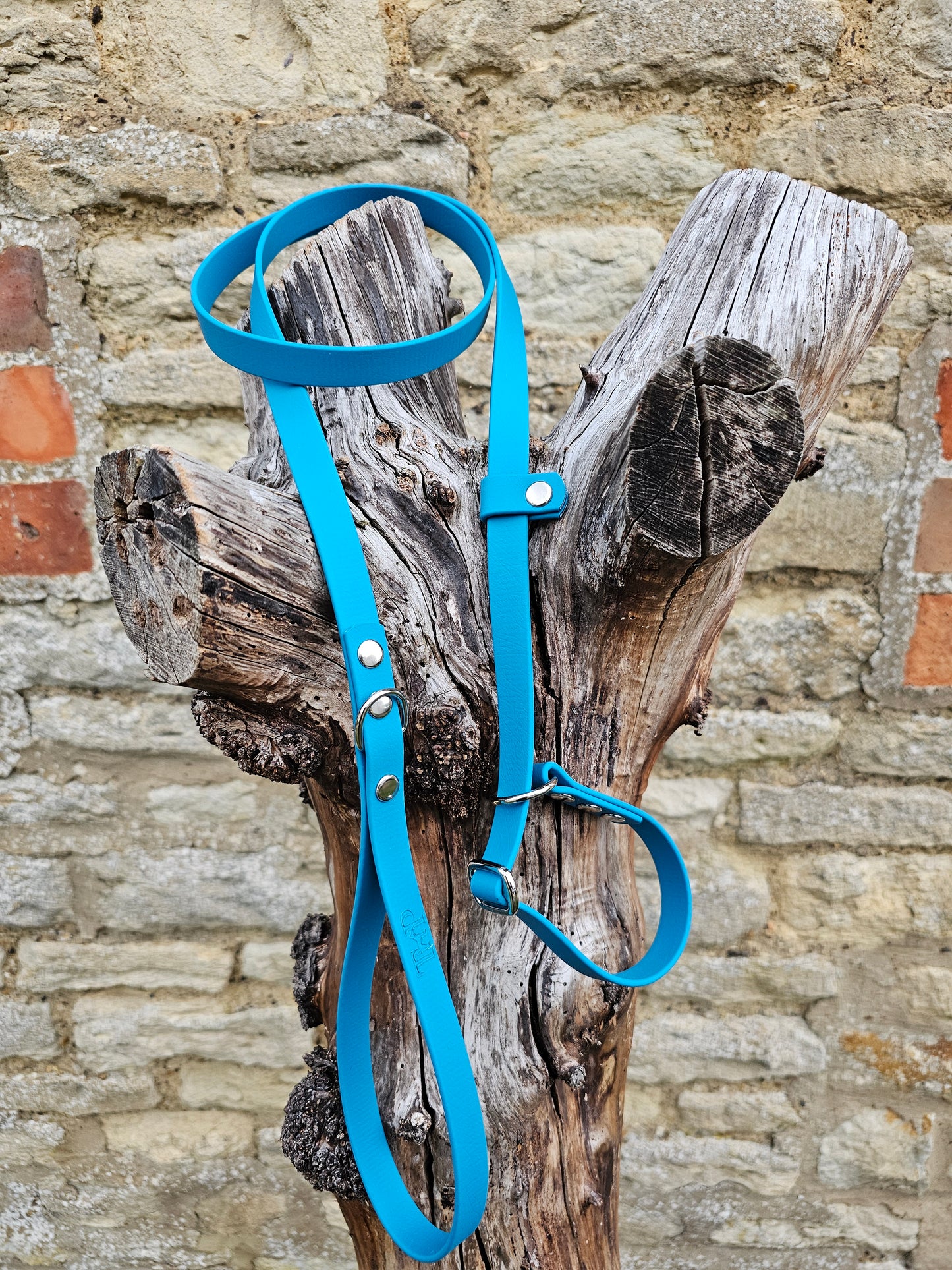 Lagune - Waterproof BioThane® Dog Slip Lead