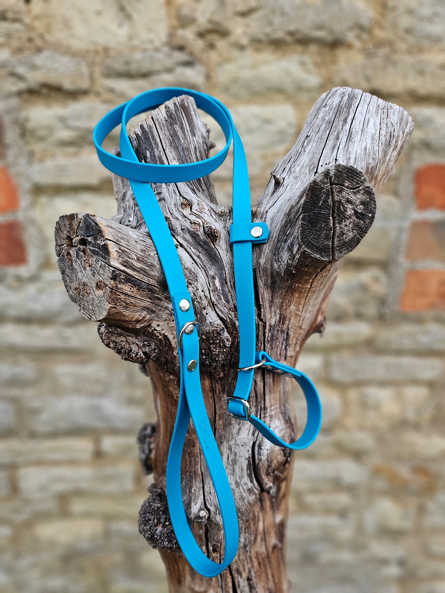 Lagune - Waterproof BioThane® Dog Slip Lead